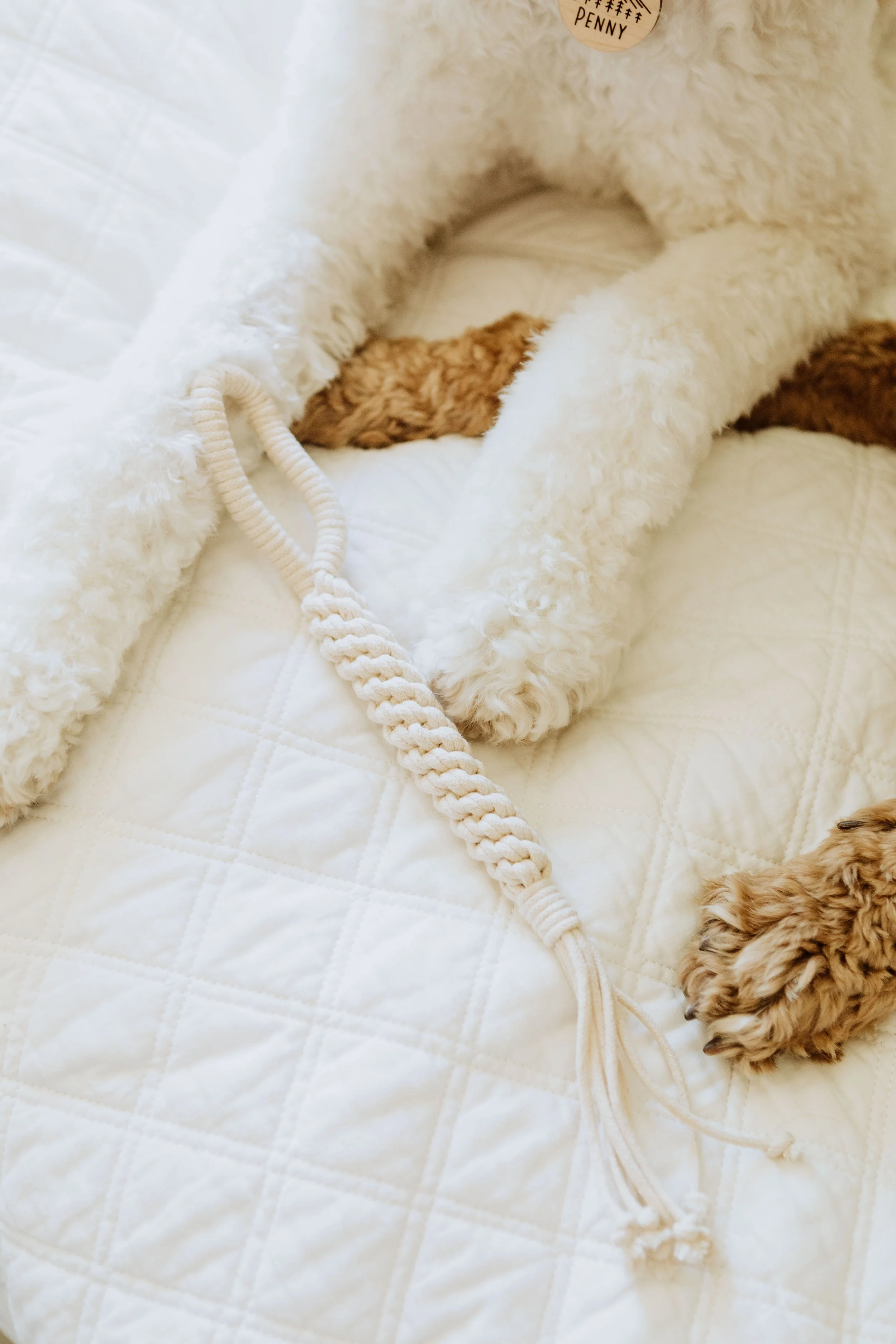 ORIGINAL Rope.JPG