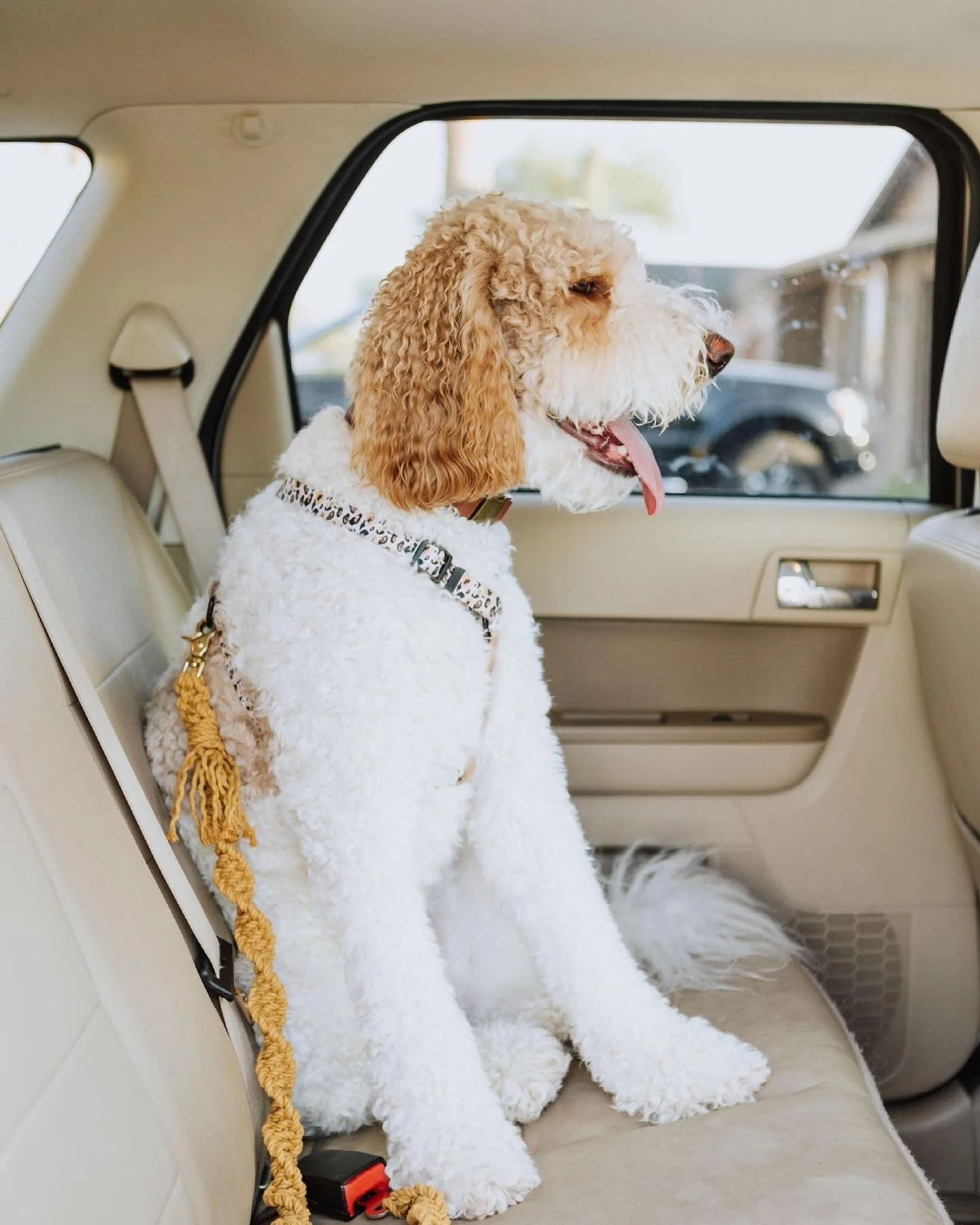 36E76150-6A23-4A96-AC75-804A58B12BA1