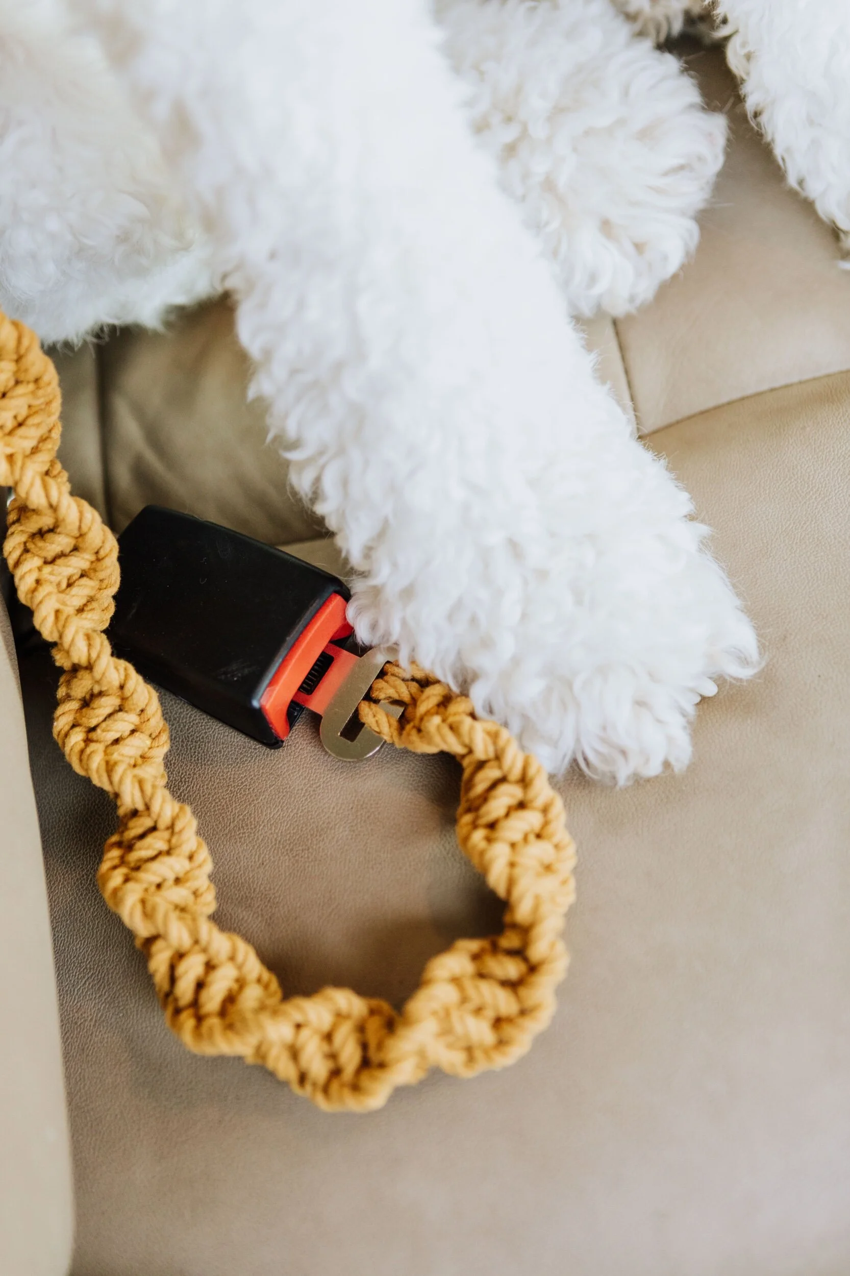 ECBAC4BA-8B96-46DD-8744-B82C40FE35EC