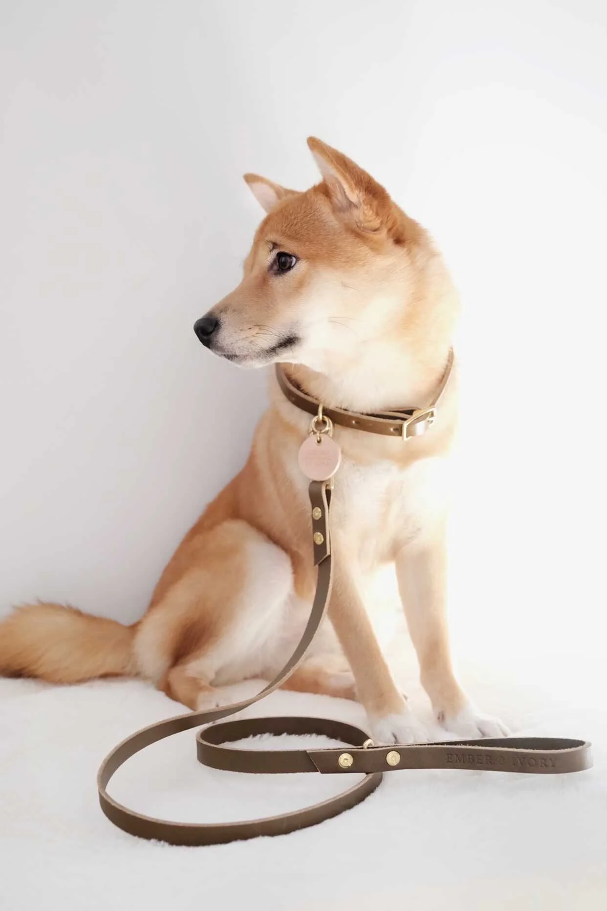 A8A949D5-23B9-403A-811C-2348DA7F495C