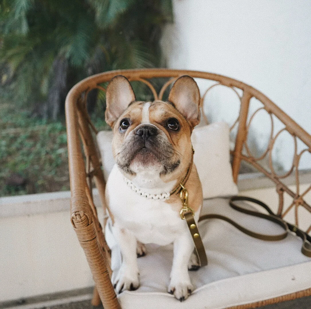 F53C2962-B8DE-466D-9601-5685A1CA7FBF