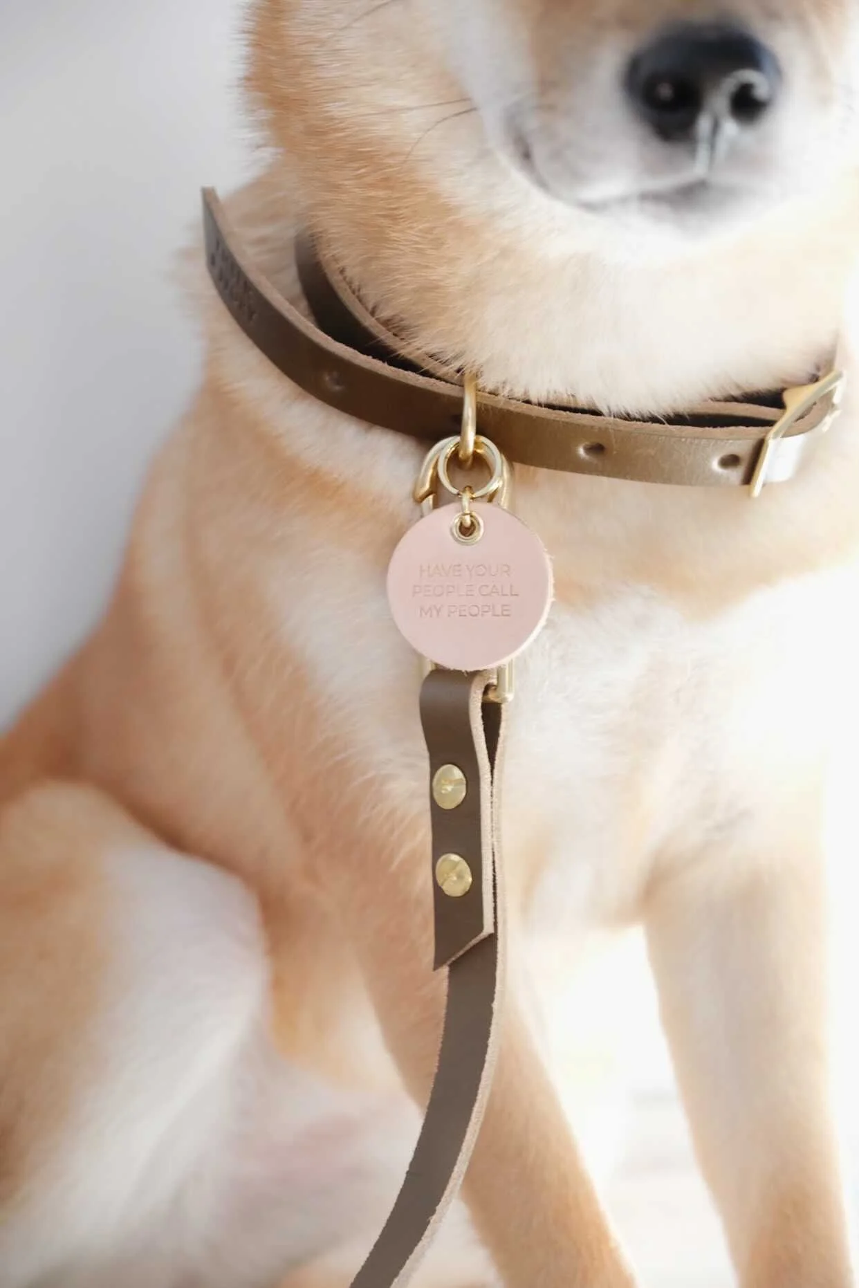 7B747FC4-54B6-4D52-A081-B1697E88BE59