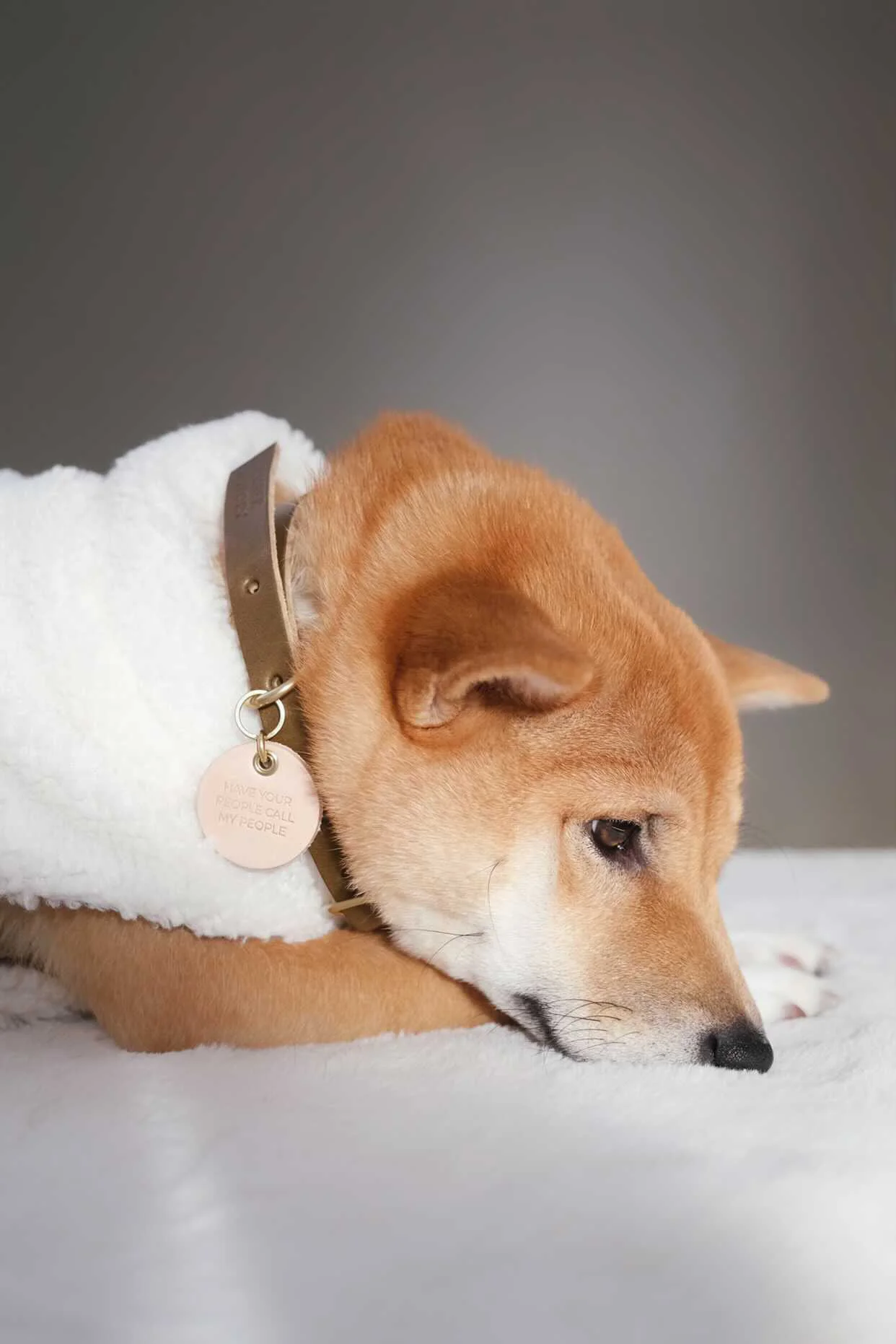 3A857594-CB7E-4719-8755-31A4FD73B53A