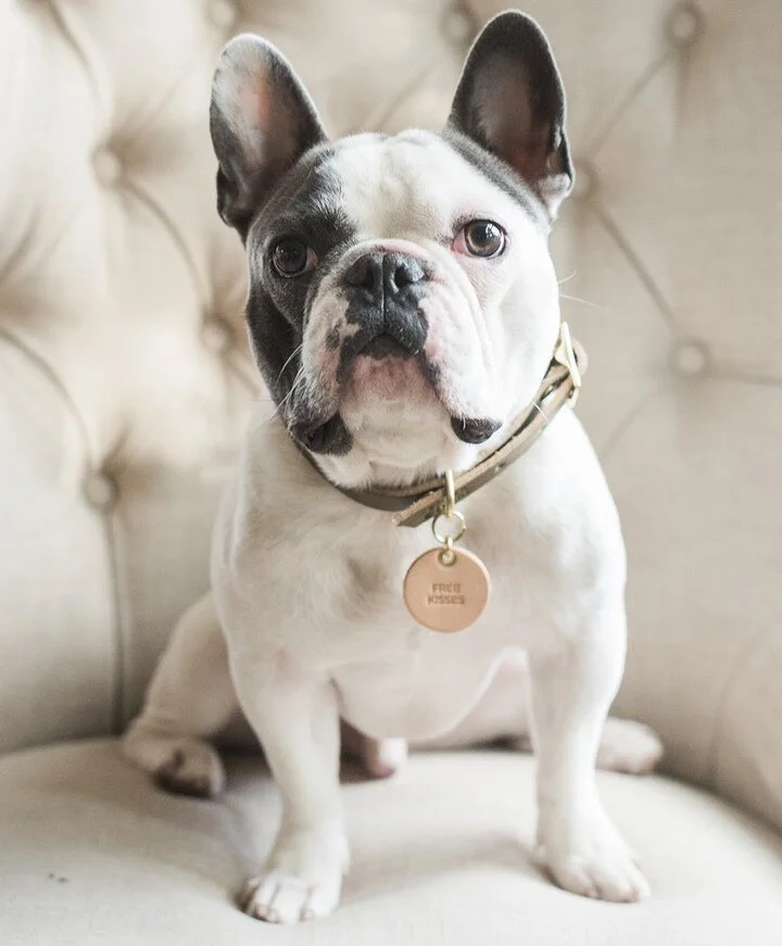 6E9EED3E-A106-424C-B296-C7B1827CAA8E