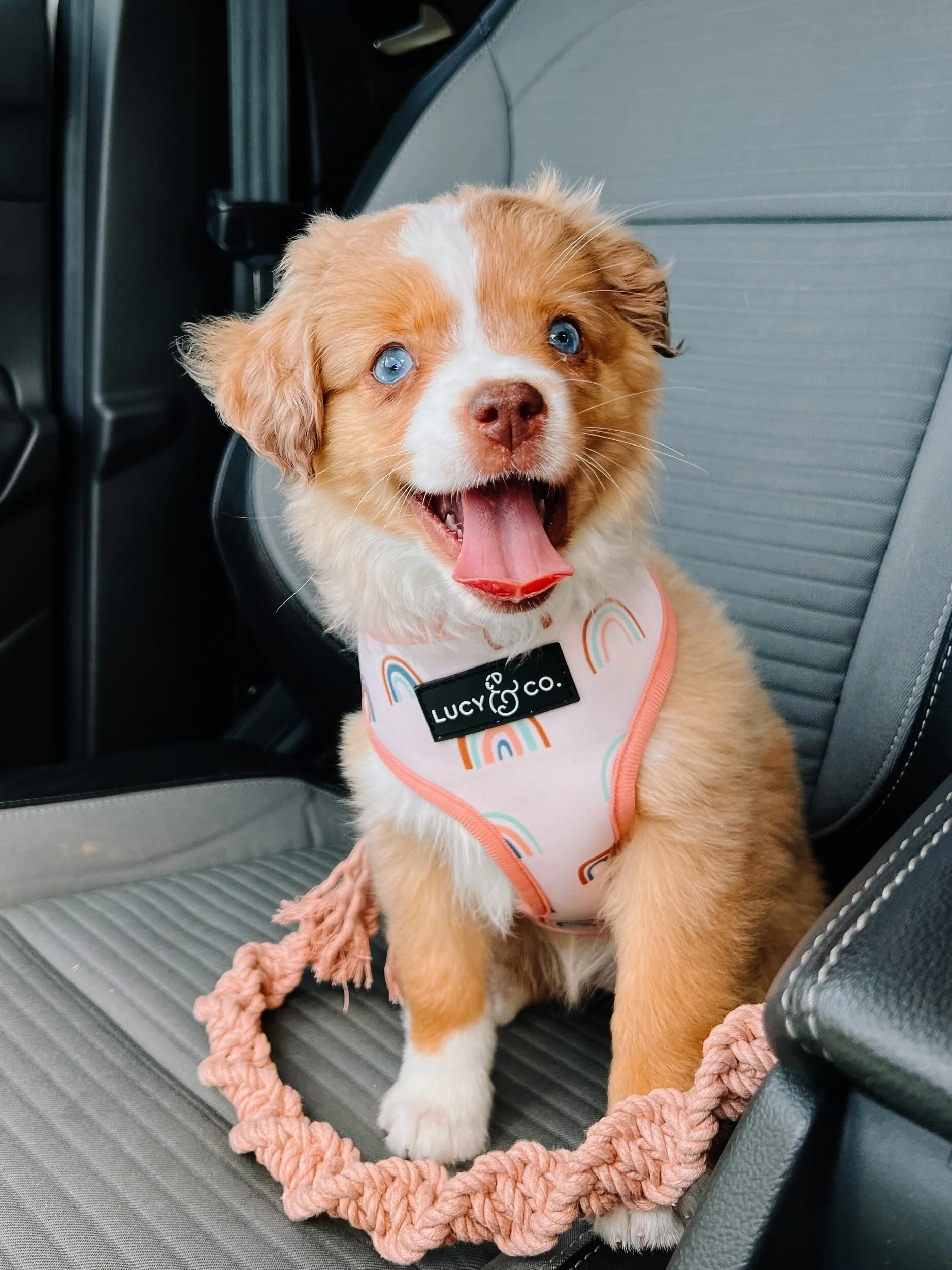 90B710B0-C9CB-47DC-B573-D6E490C9B14D