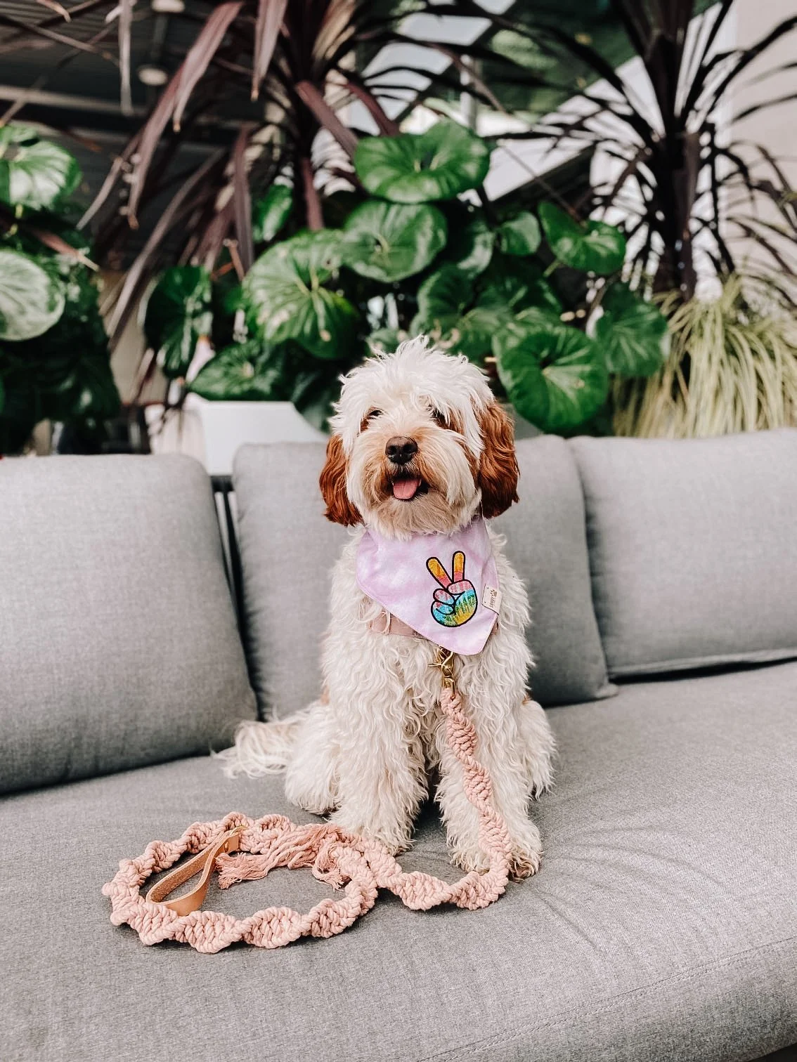 600DCA7B-B9F8-4F2D-9BE7-01F69C4F5056 2.JPG