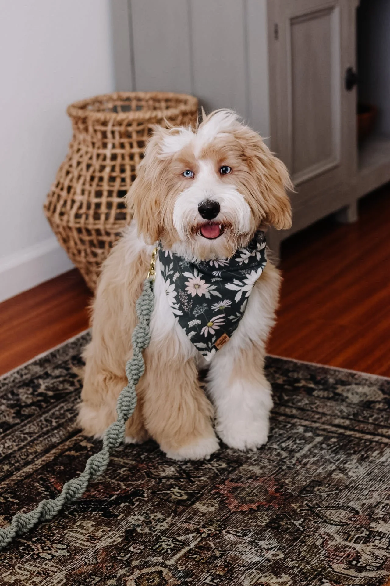 7F6603F9-F6AA-46DD-84E2-57525A7727F2 2.JPG