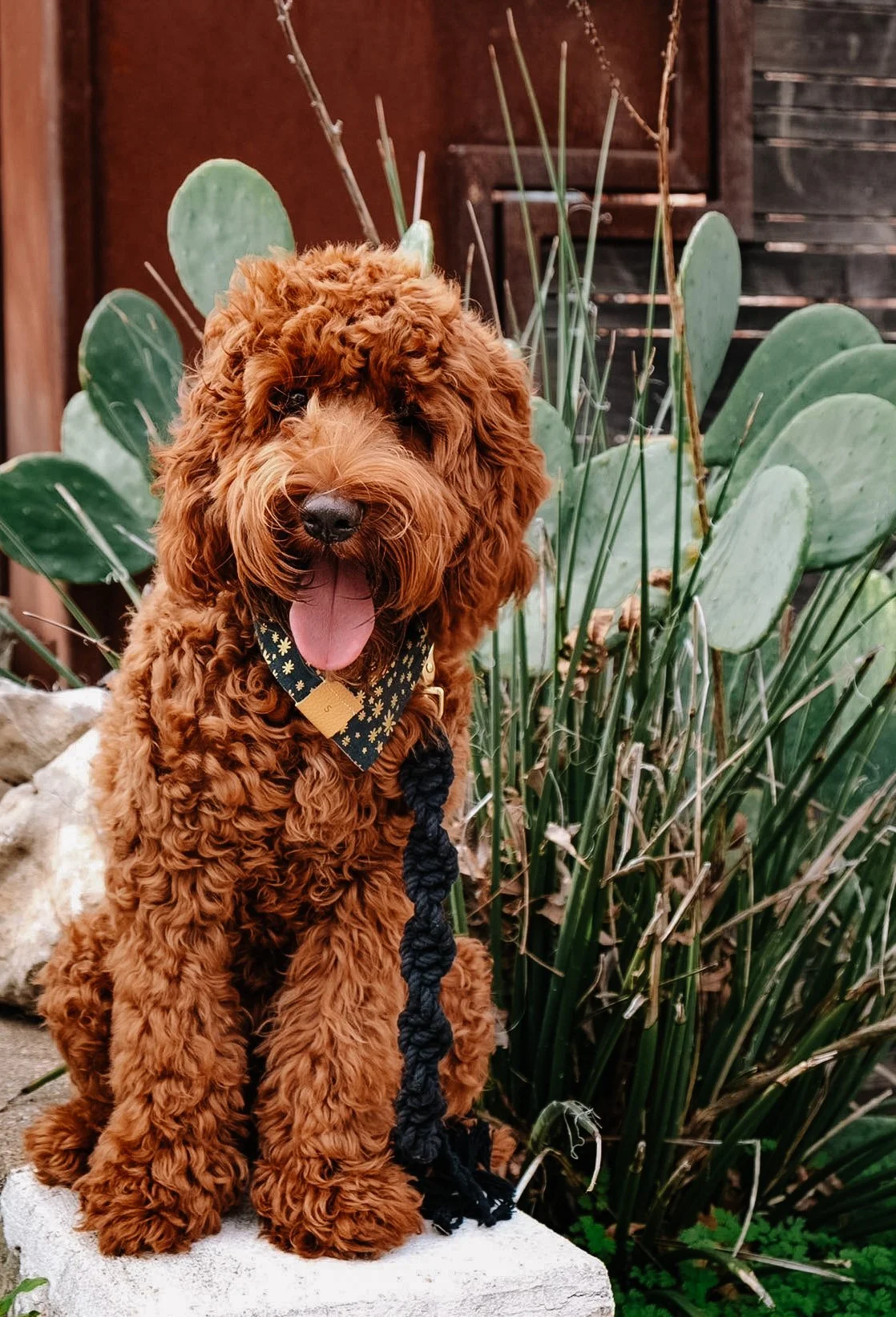 6A09431B-1B6D-4789-B06D-EC8C4A573113 2.JPG