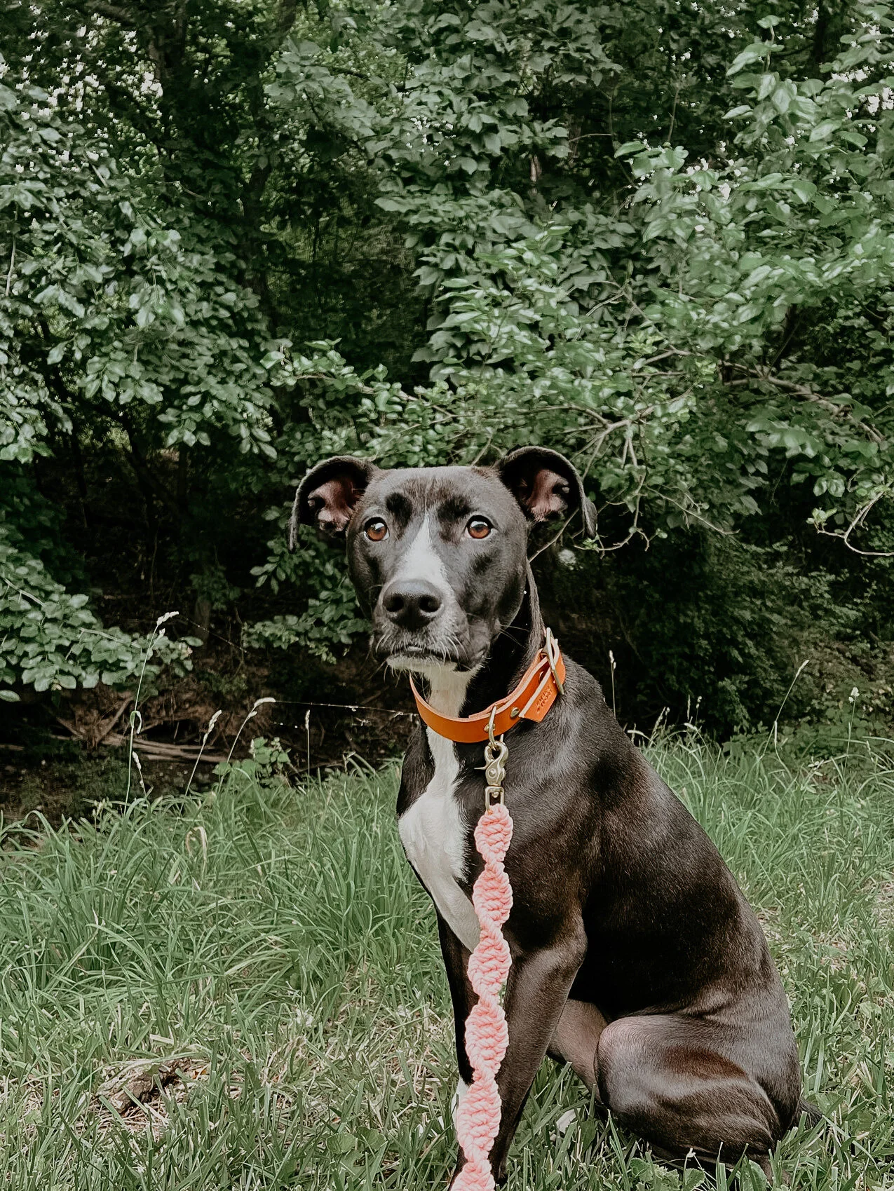 A0509BAD-1B7F-4968-BFD9-5DA596C7B3EC