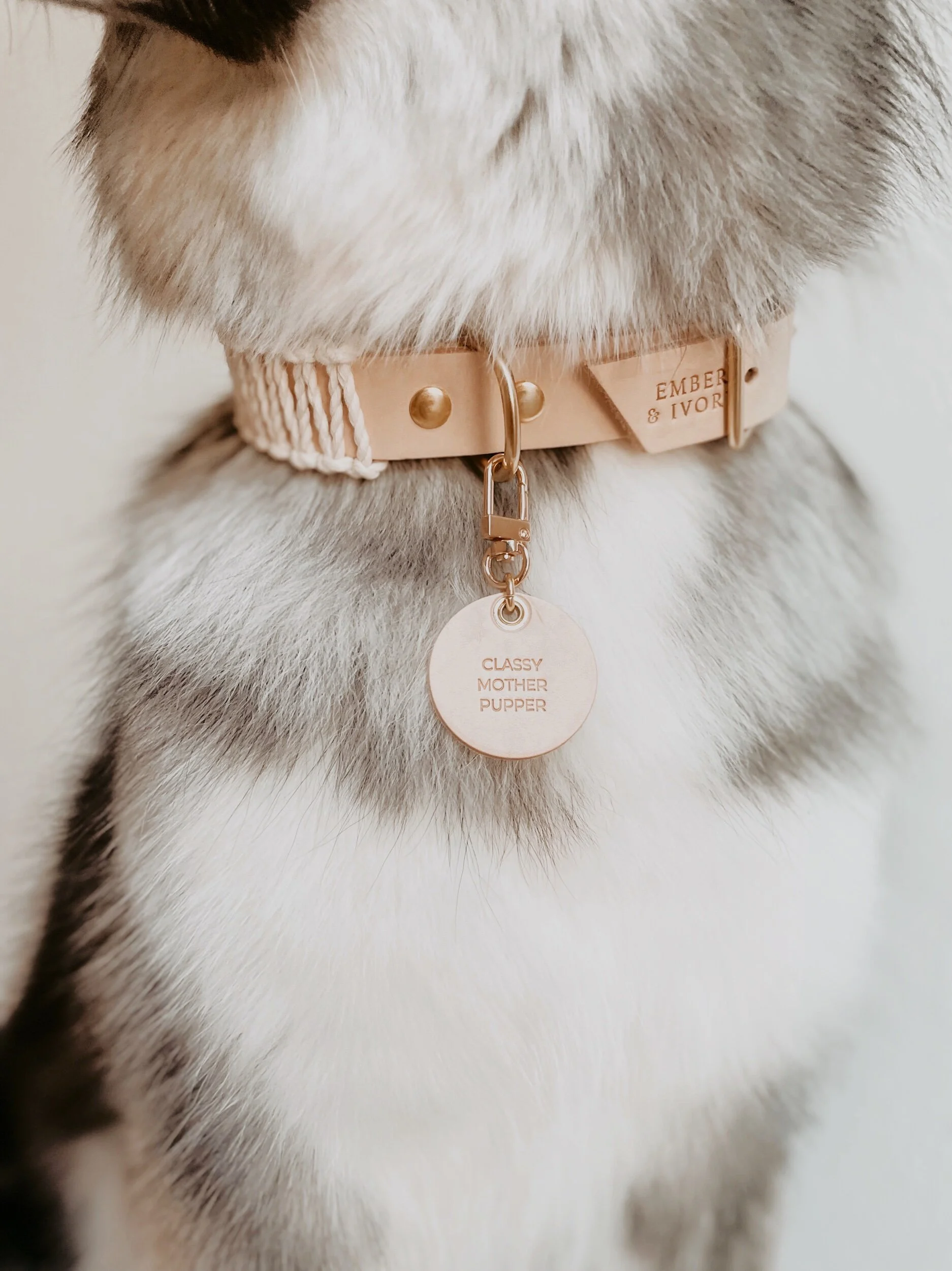 71514EDF-78BD-4745-B816-91A9D71D5C01