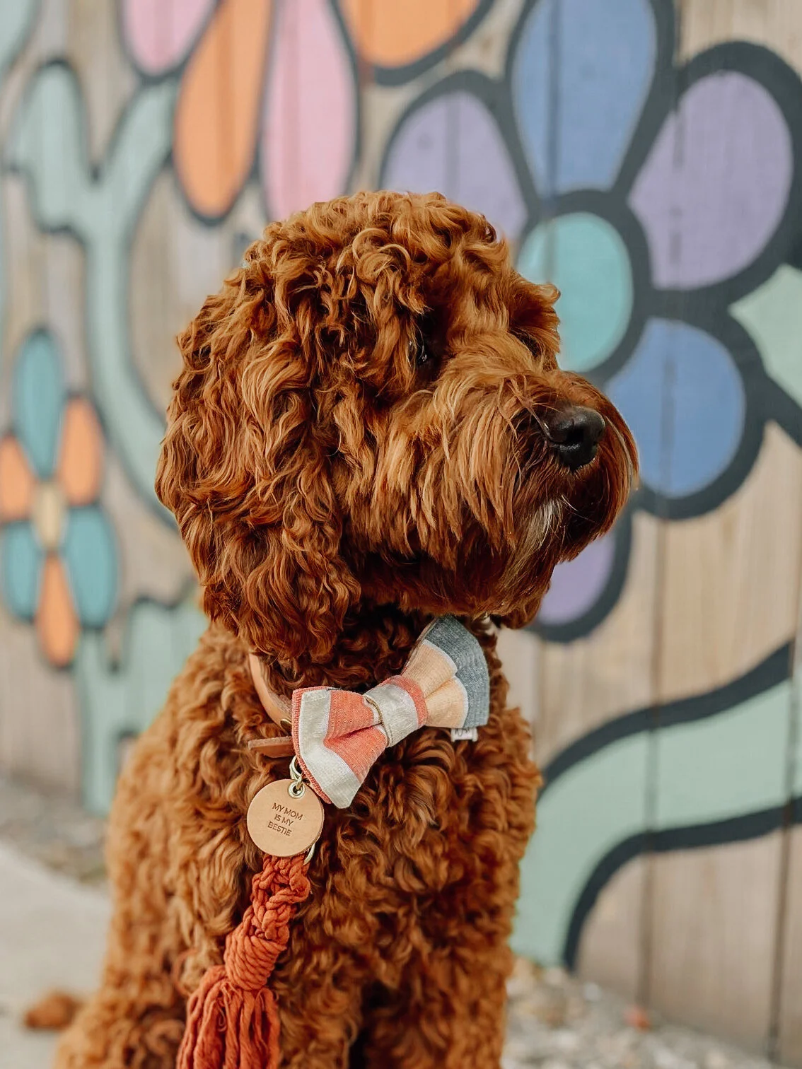 C48F6B7A-6798-4CFA-A7EB-BA5A1DC25C0D