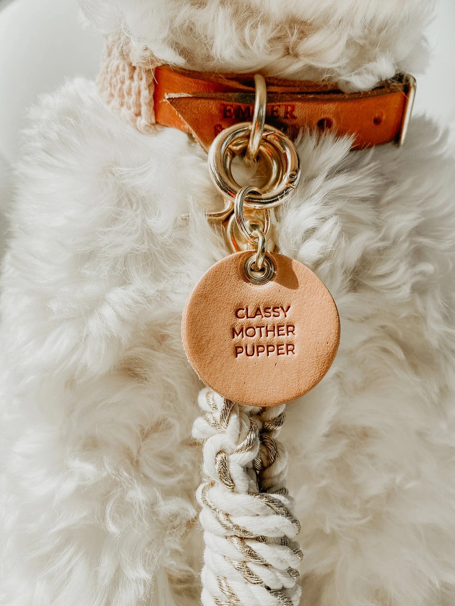 FA5737E9-4F46-4597-A3D9-44F4CAF4336E