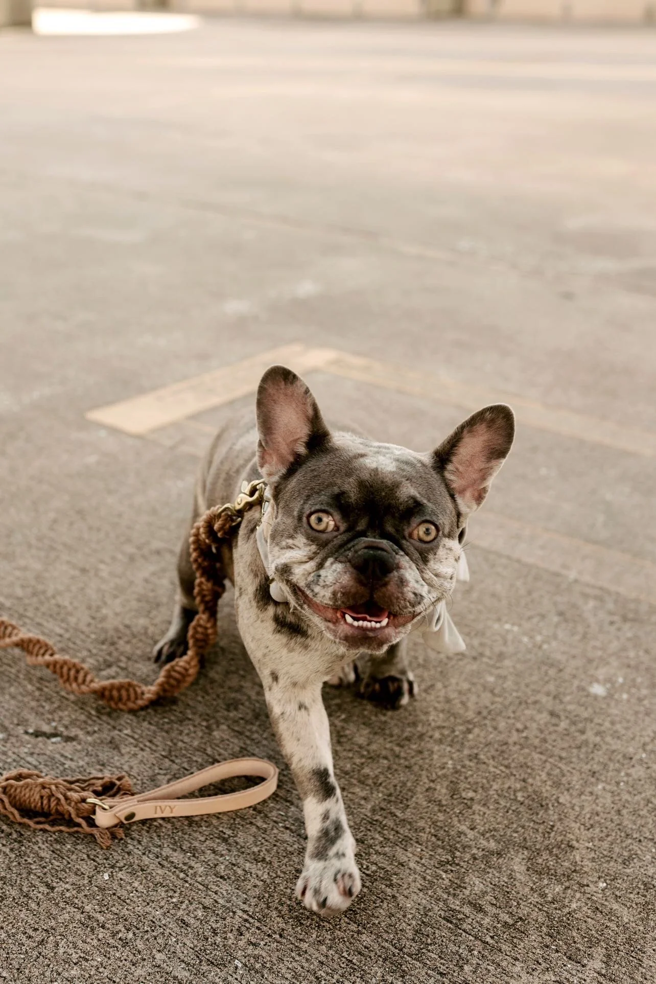 D46A1313-DDA2-4B42-9828-F48B3B59C50B