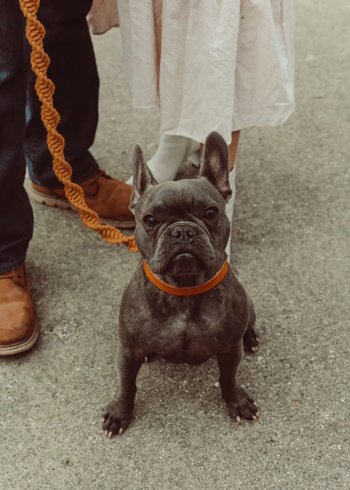 3A732D6D-9E05-4B1D-A46D-31718F39FC21