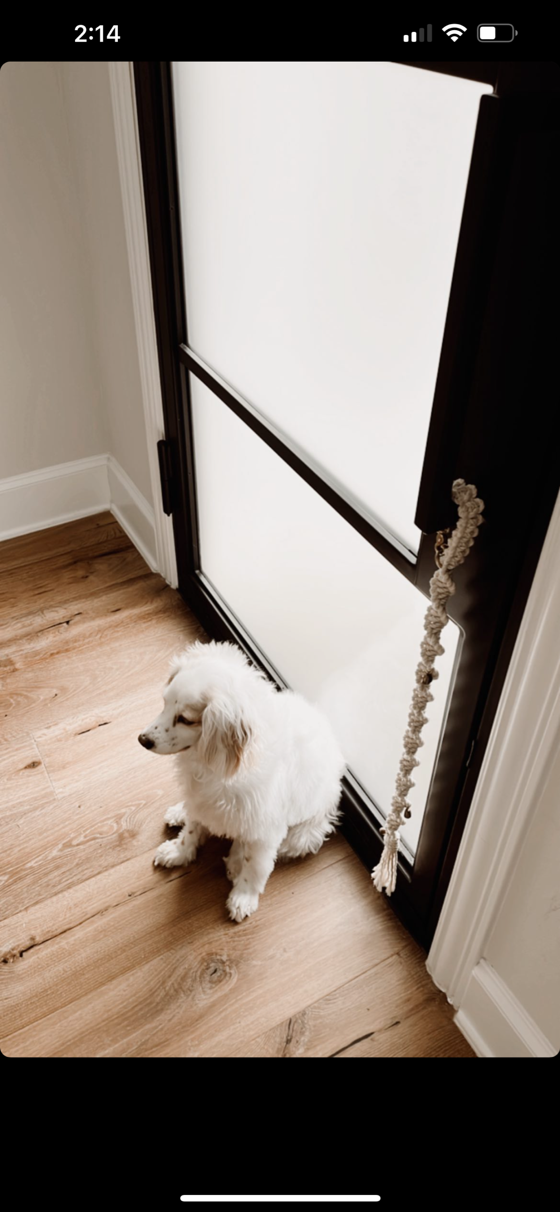 2F193EE7-049D-451D-90AC-413C715D9187