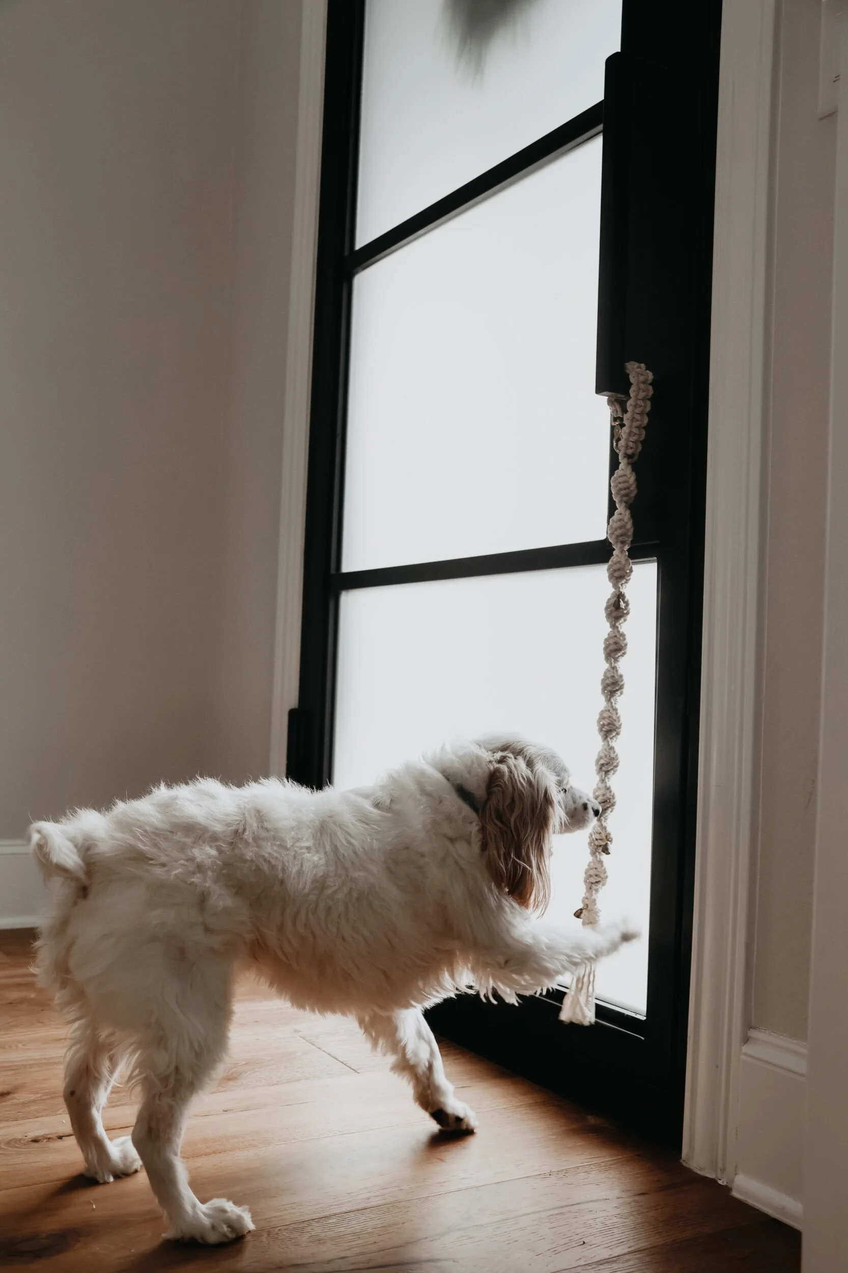 9823CE06-BCA8-4BA3-B65A-F61CD71494B6