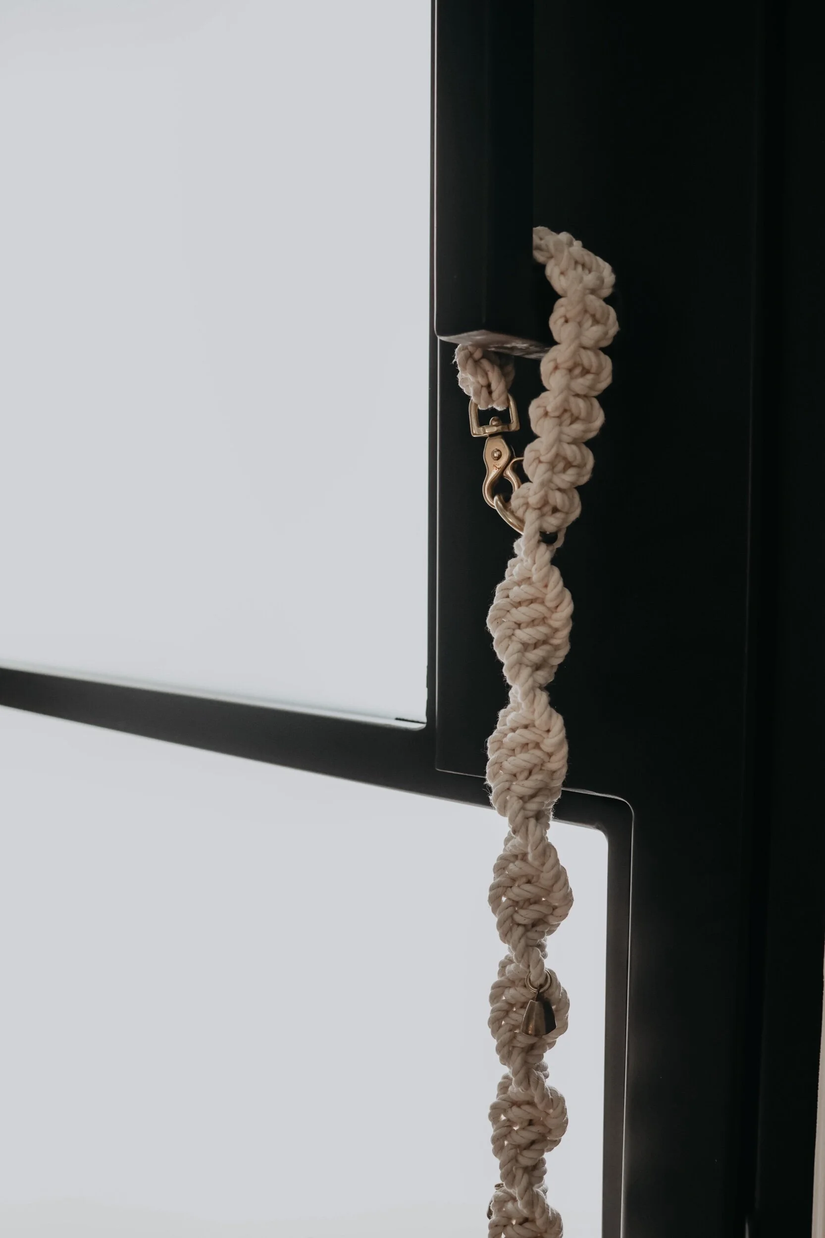 5088E254-9732-49C7-AEA1-0AAE62ED9C1B