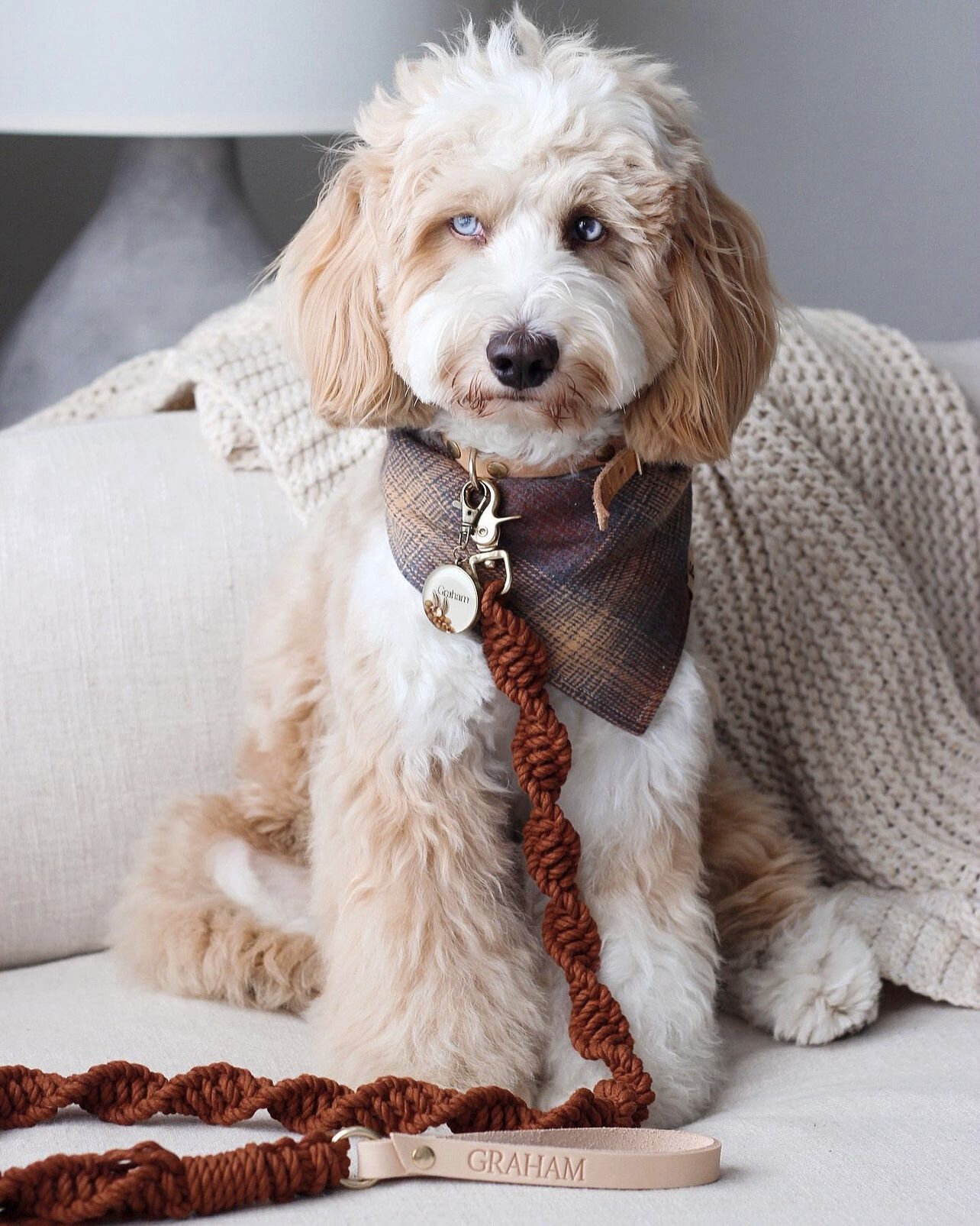 6D7BE051-7C75-40E5-BF11-D999DFB4CBED