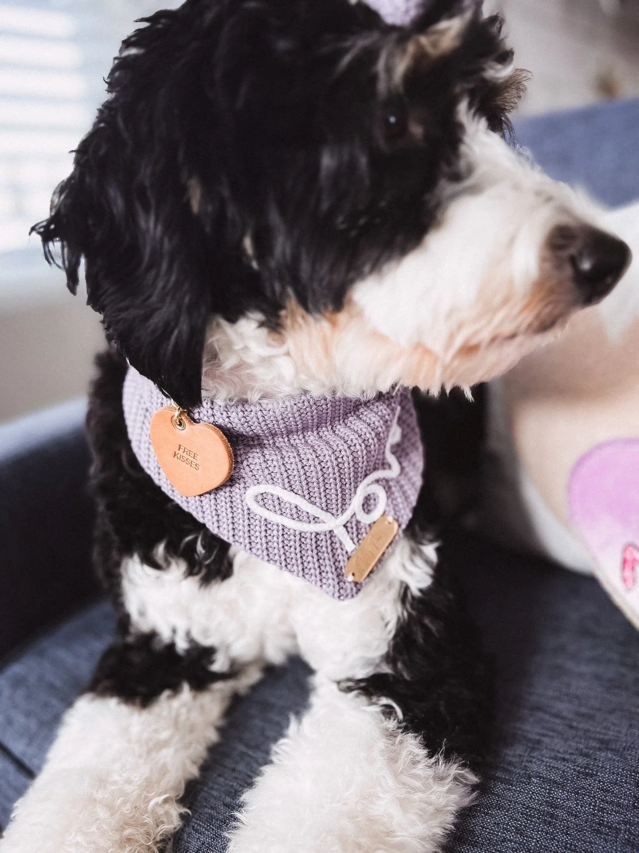 F6313432-8019-4144-91B4-260DA925D732