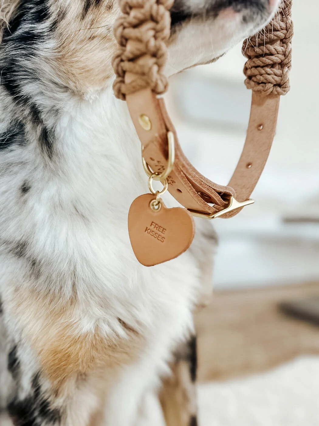 E3CA00EB-6455-4E26-9305-85A15D859399