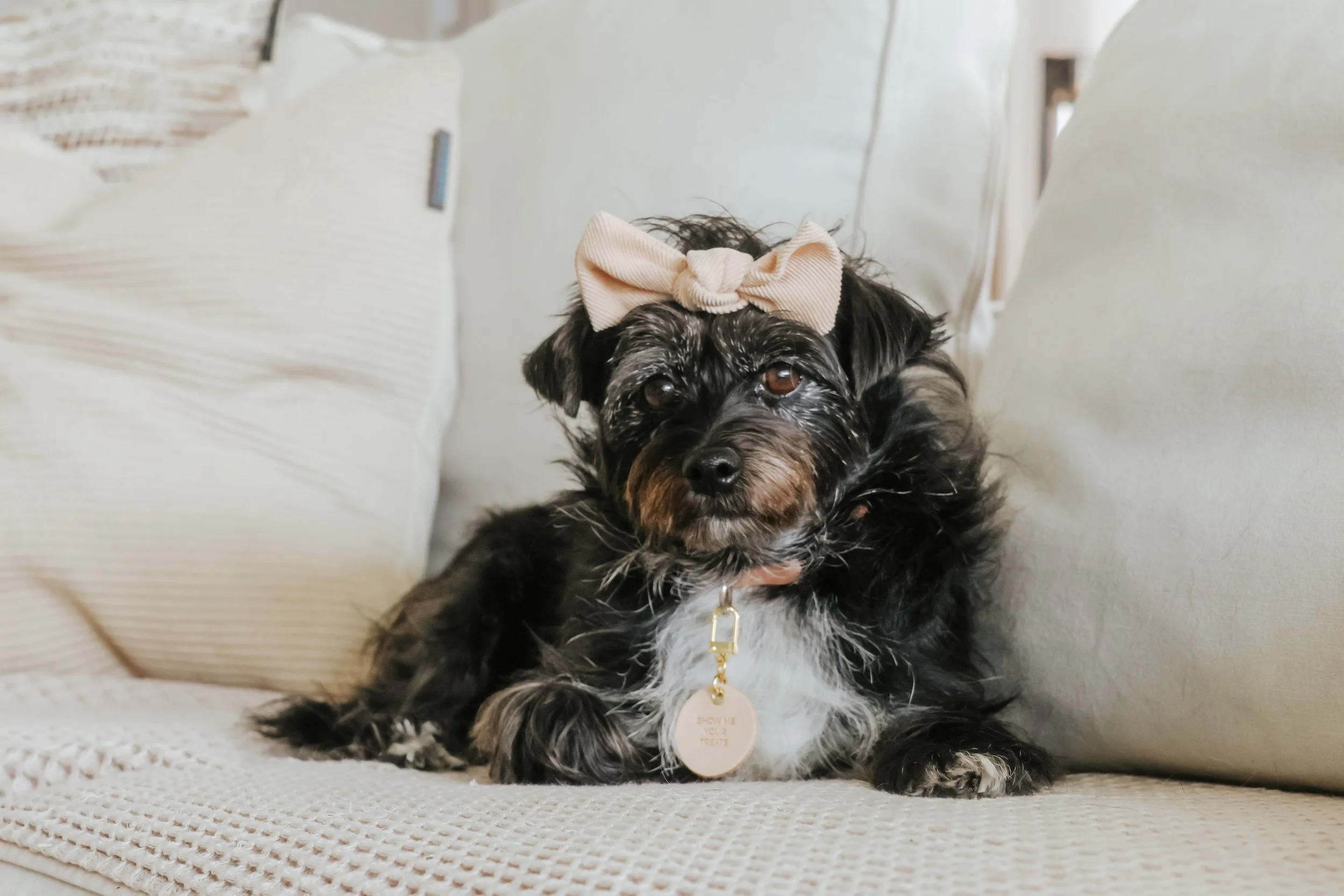 Photo Apr 24, 5 28 05 AM.JPG