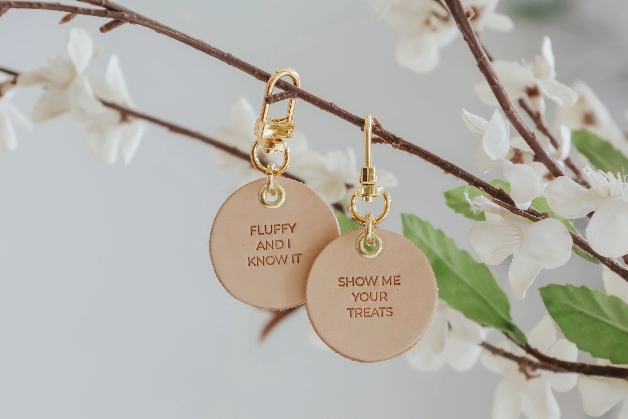 Photo Apr 24, 5 22 47 AM.JPG