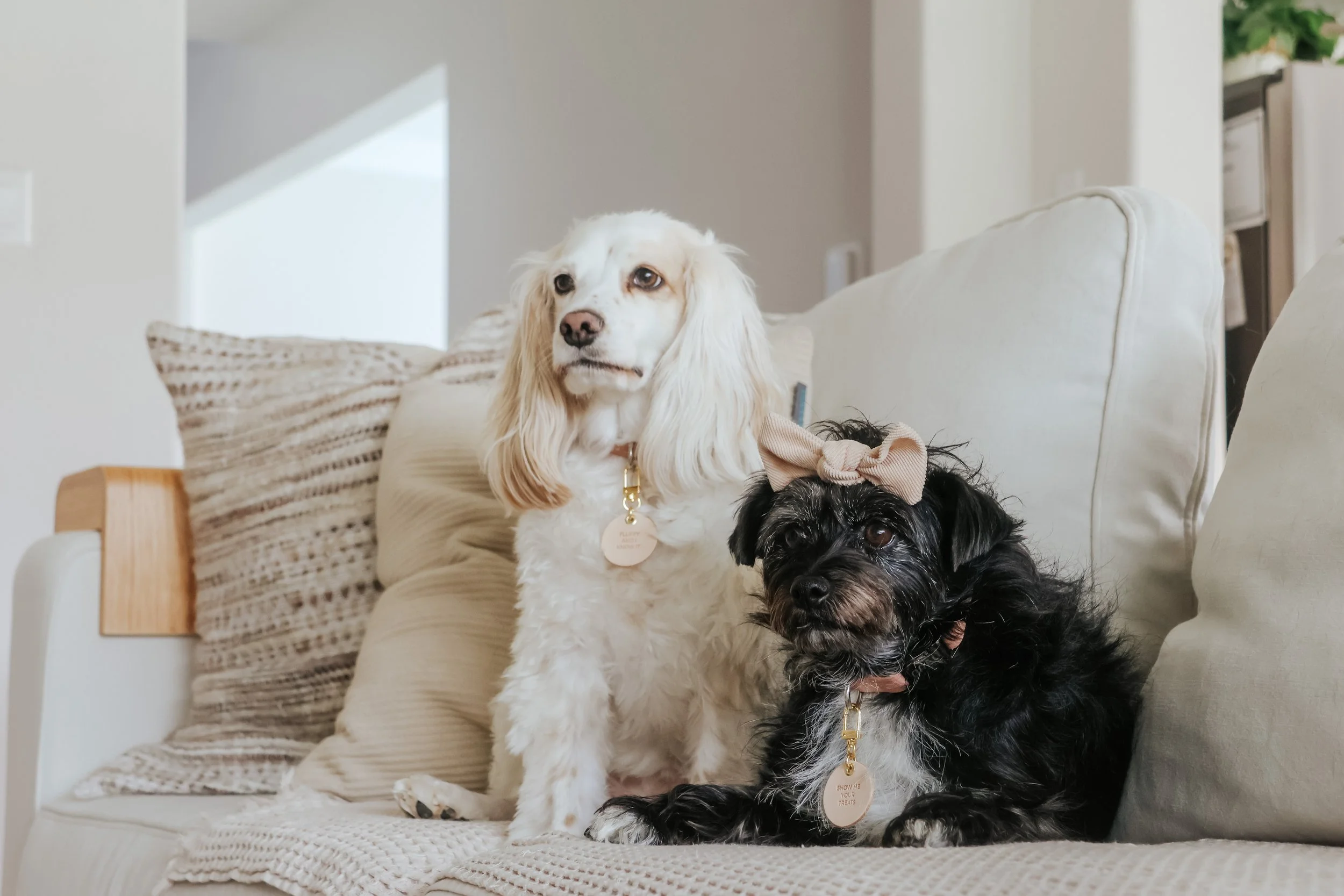 Photo Apr 24, 5 30 49 AM.JPG