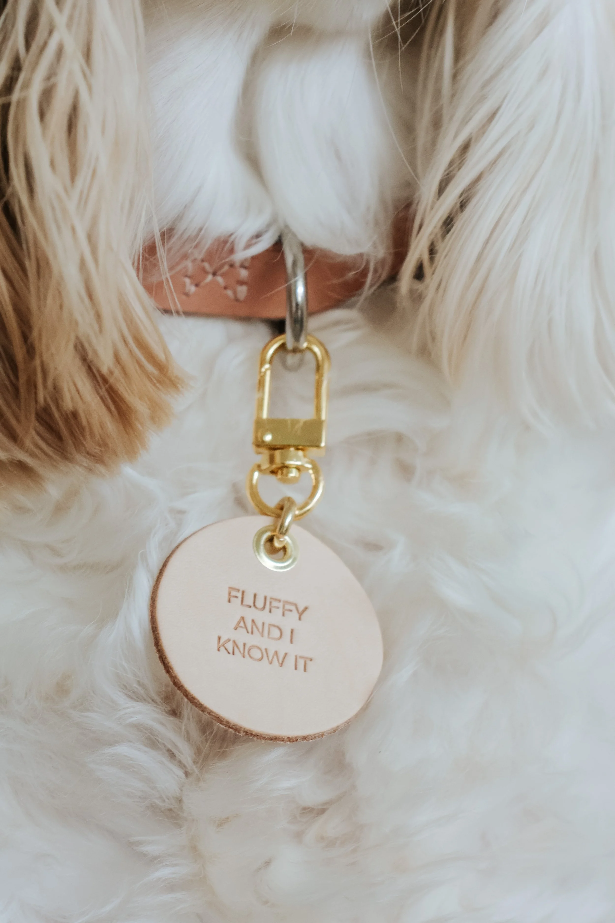 Photo Apr 24, 5 24 37 AM.JPG