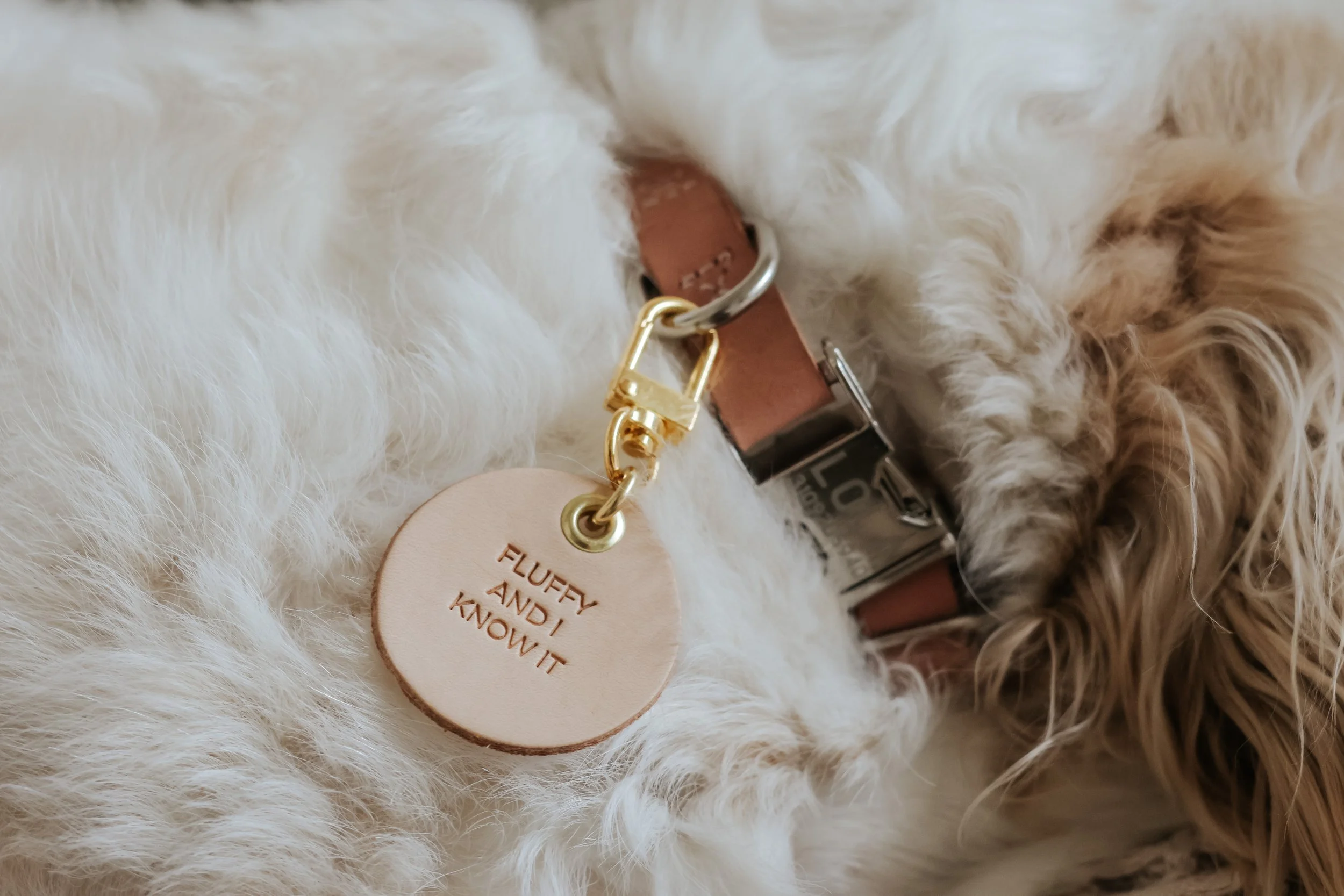 Photo Apr 24, 5 34 51 AM.JPG