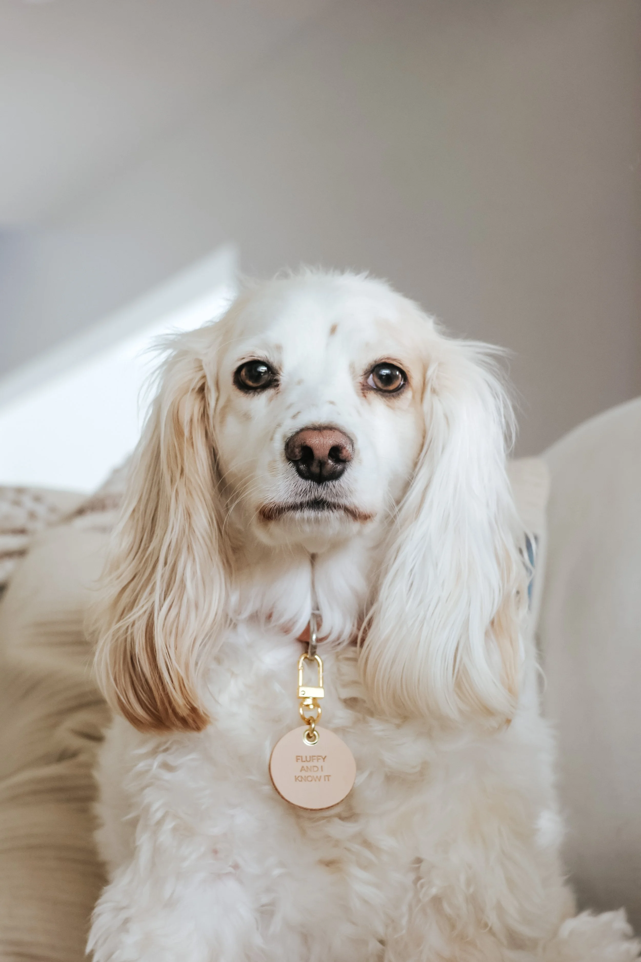 Photo Apr 24, 5 33 19 AM.JPG