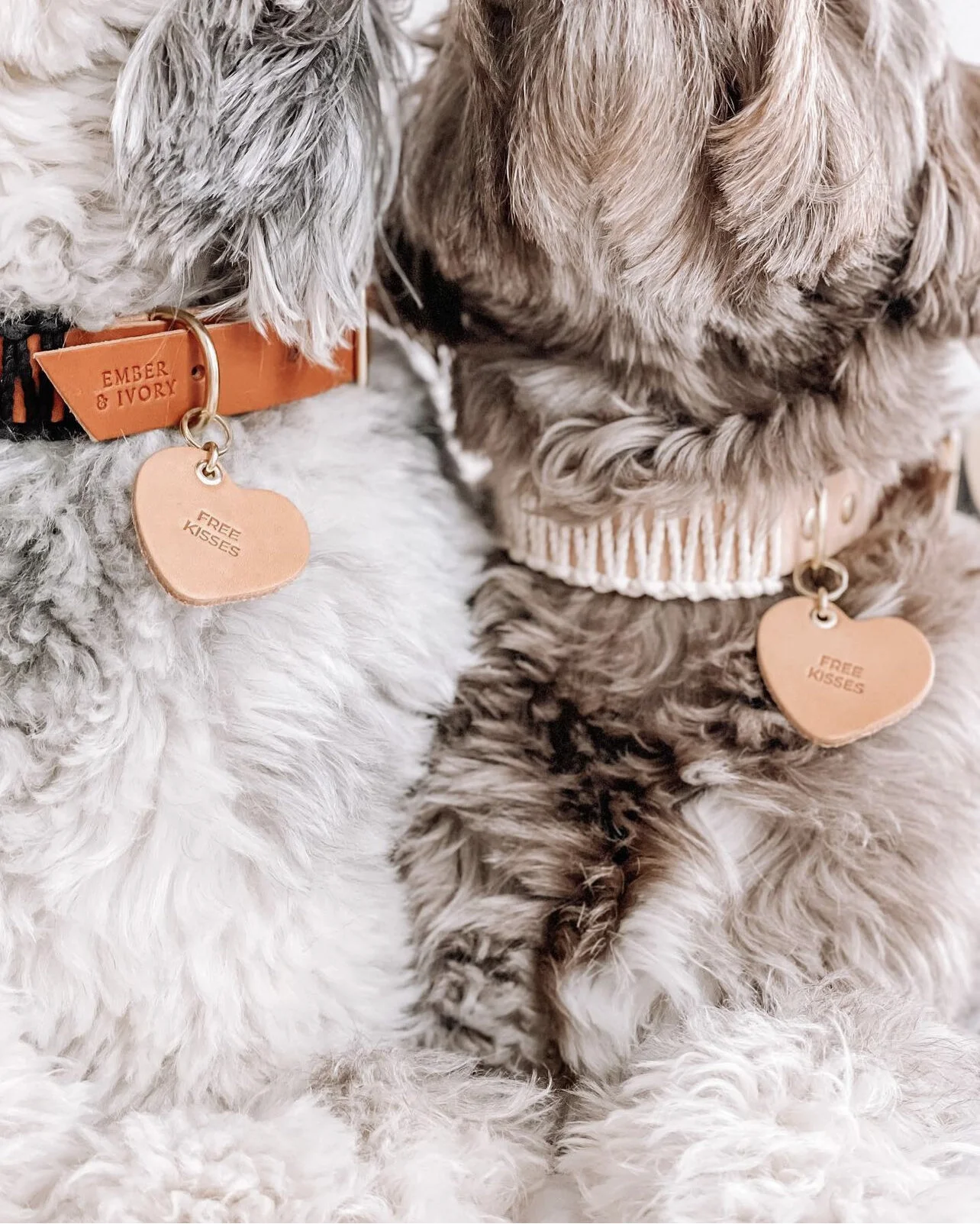 3F1F3B94-F432-40CF-AFD3-F157A52C8395