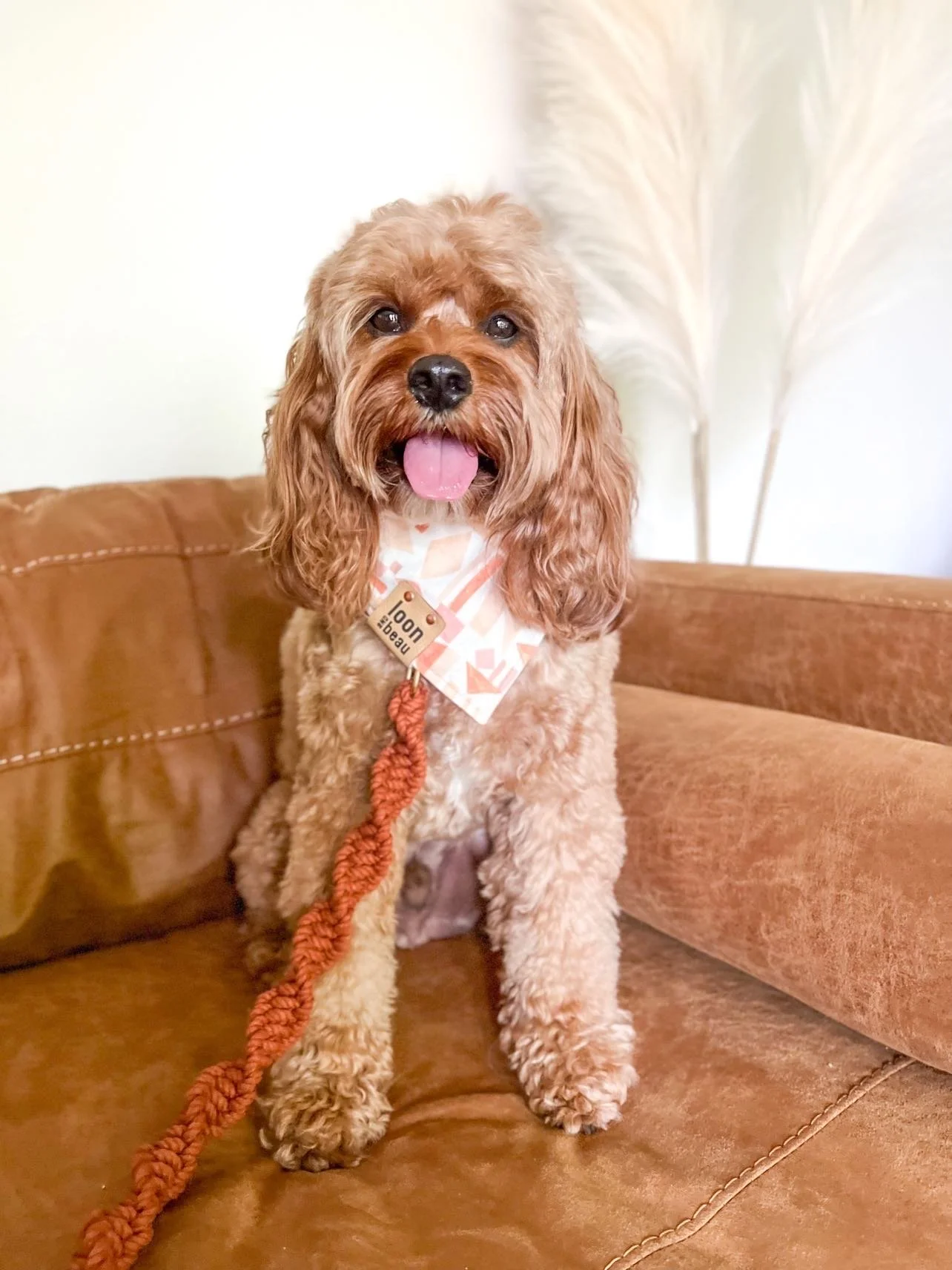 CDF6ABFA-29BB-41A8-B657-CC6AFEDE7377 2.JPG