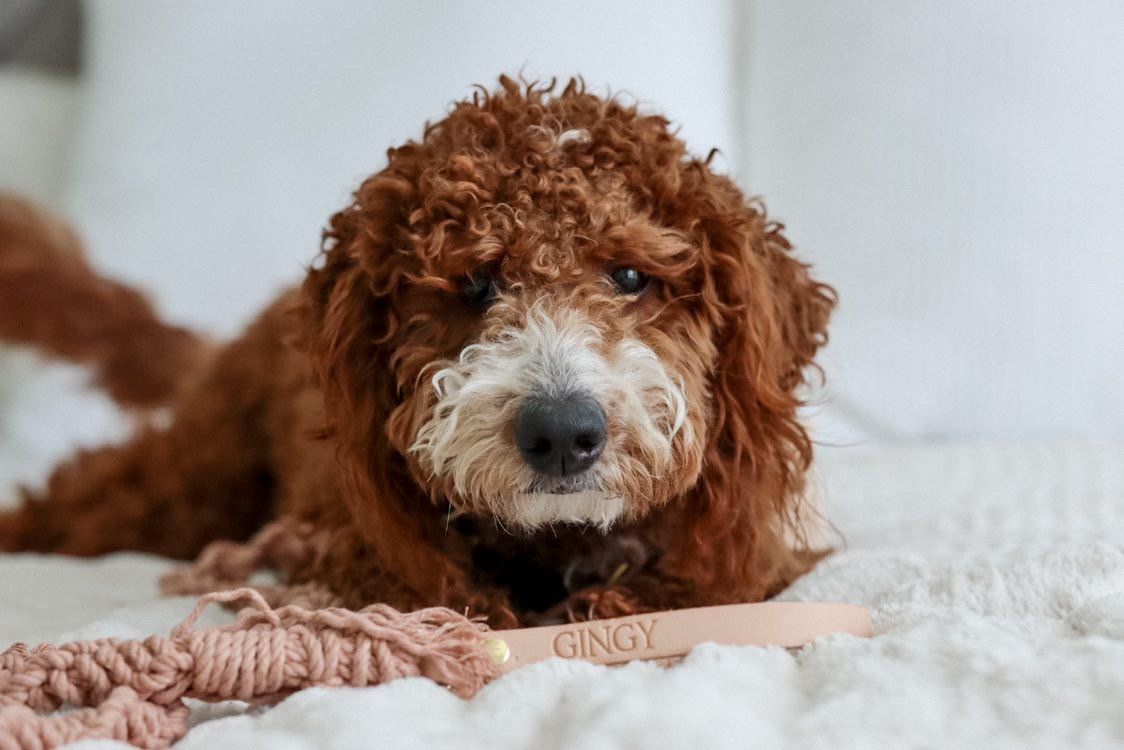 E27E53B3-EE8C-4FD8-8DAA-53C9C05ED250 2.JPG