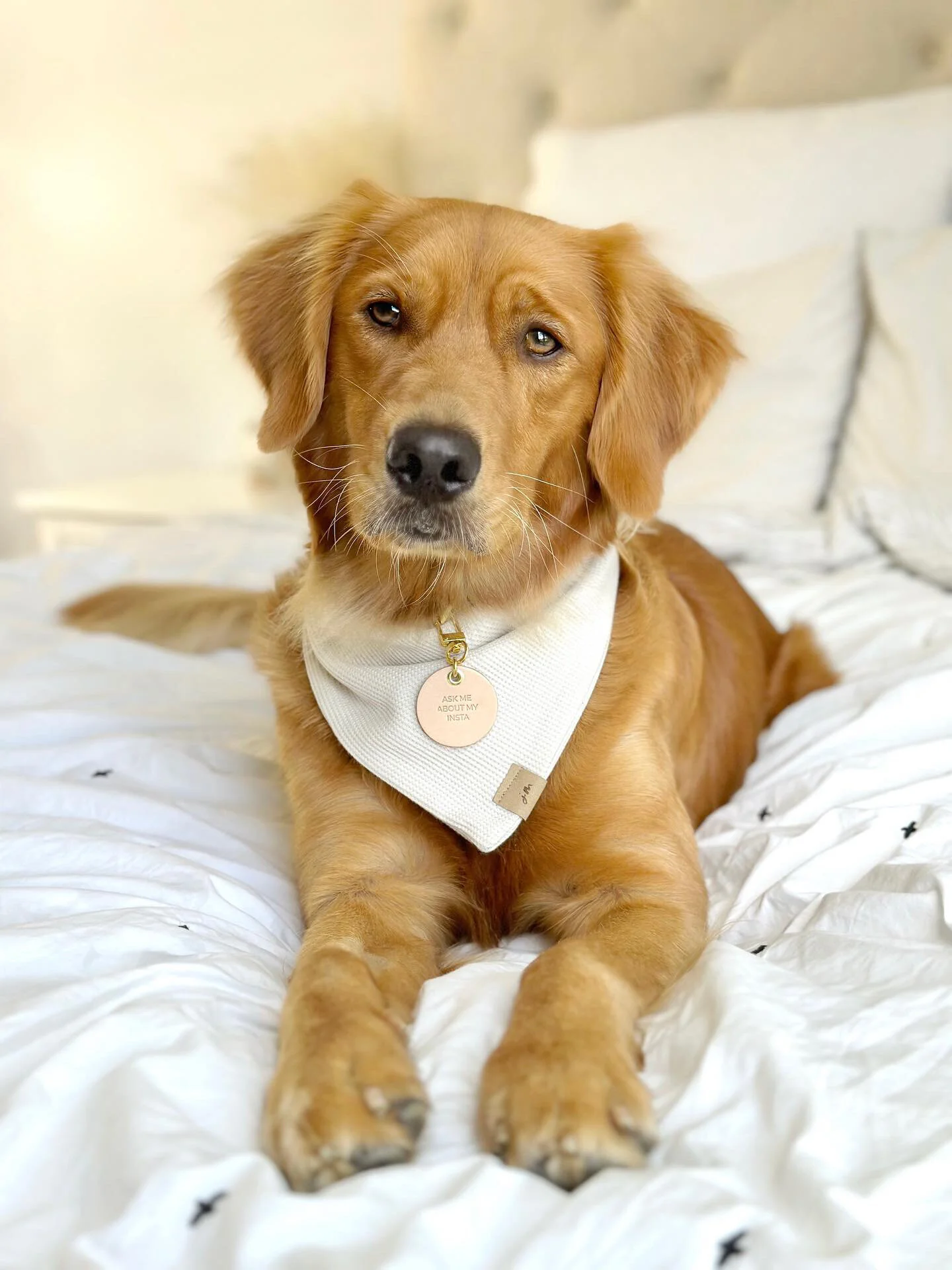 6DD991B1-7F9A-4889-BDD1-08B5C758B6DF