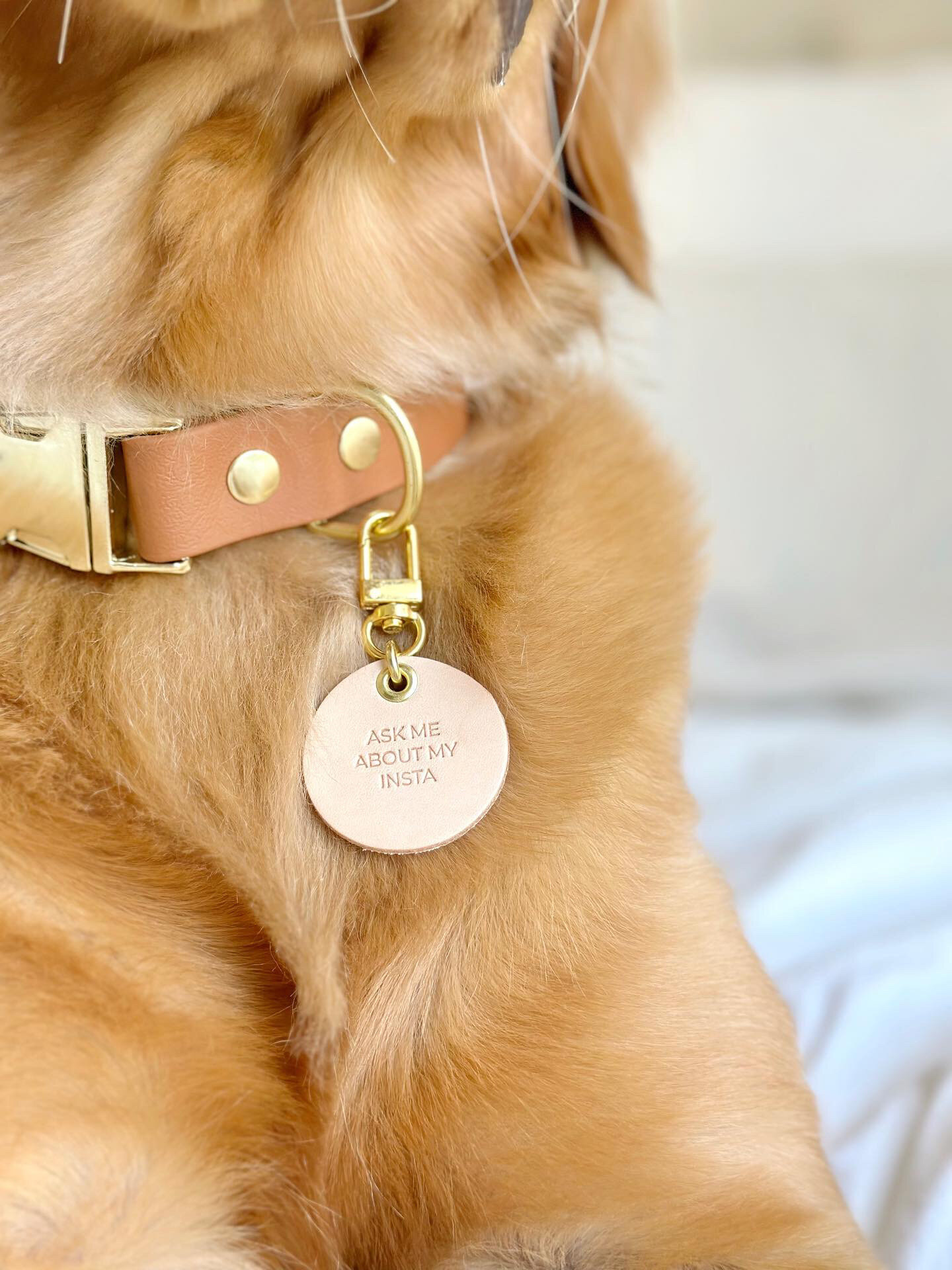 A61D16DC-5BDE-4774-BF48-65343B61573F