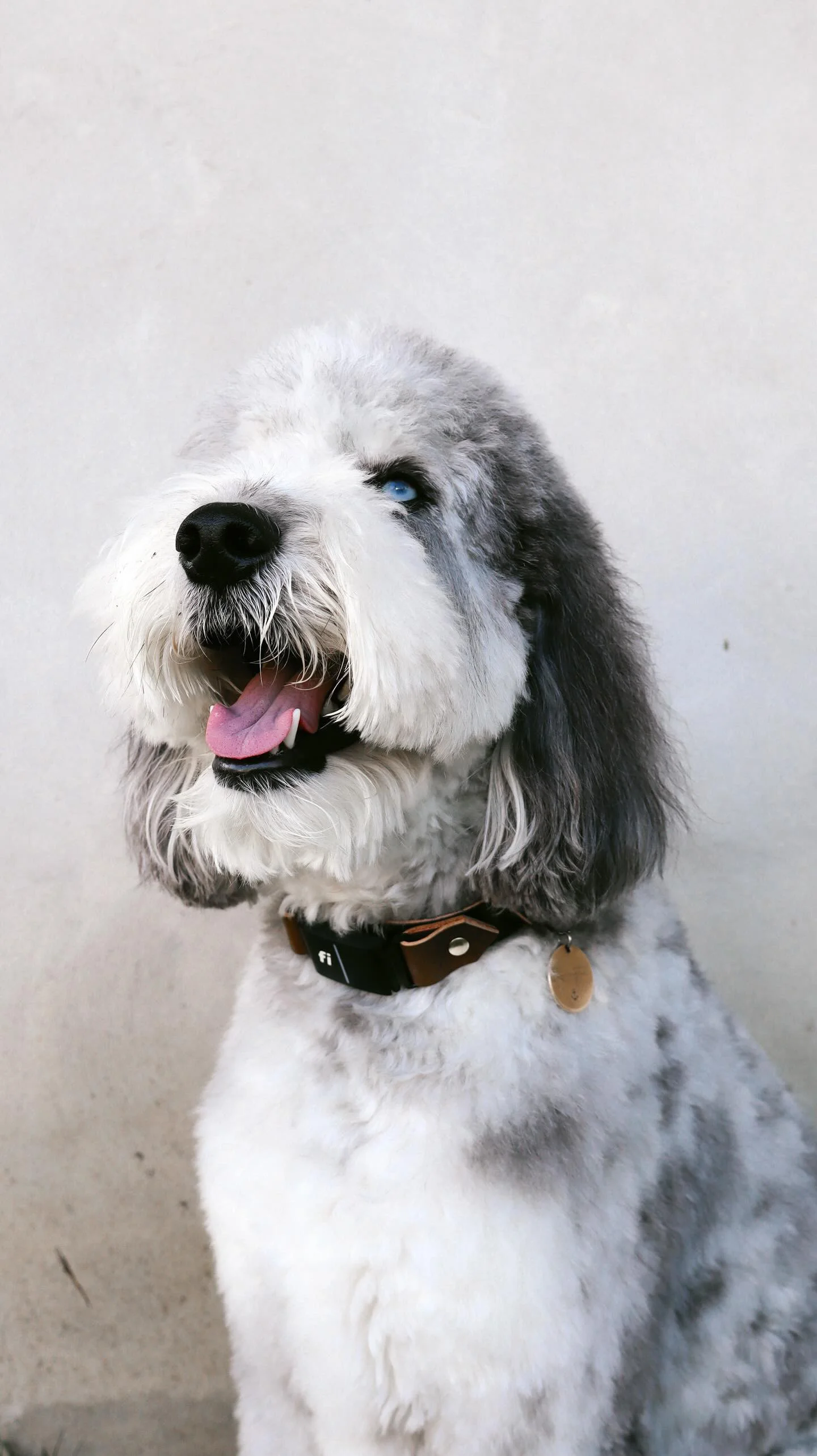 8B55BBEC-412C-404F-814A-E8B130AF8591 2.JPG