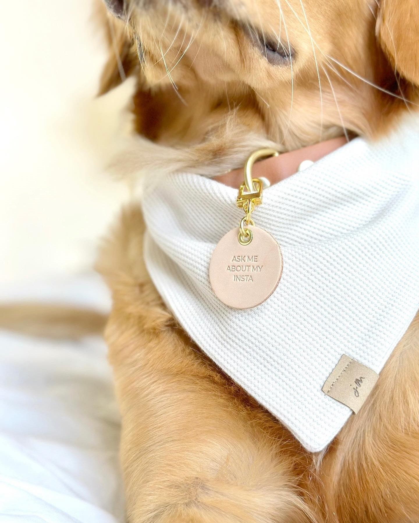 If your pup doesn&rsquo;t have this tag do they even have an Insta? 🤔