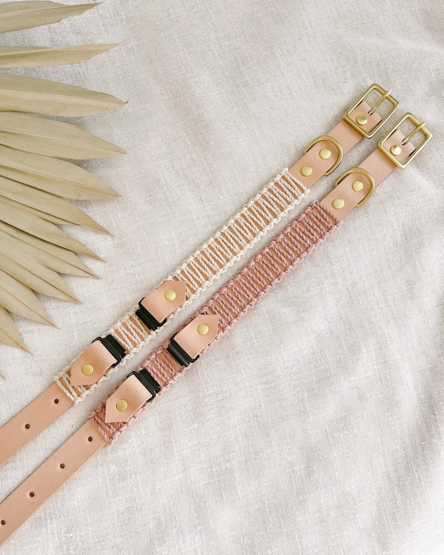 Still some of our most popular Fi-Compatible Collar combos - Ivory and Blush 😍 Head to our website to create your own!

𝘽𝙧𝙖𝙣𝙙 𝙍𝙚𝙥 𝙎𝙚𝙖𝙧𝙘𝙝 // our search is in full swing and the applications are coming in hot! There&rsquo;s still time to