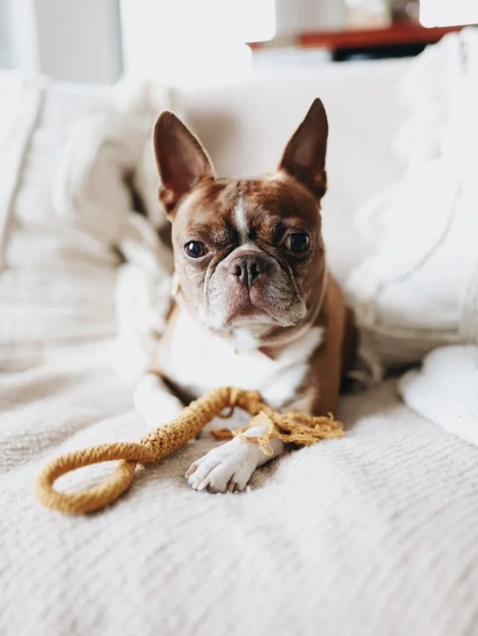 Screen Shot 2026-01-03 at 12.10.47 PM.png