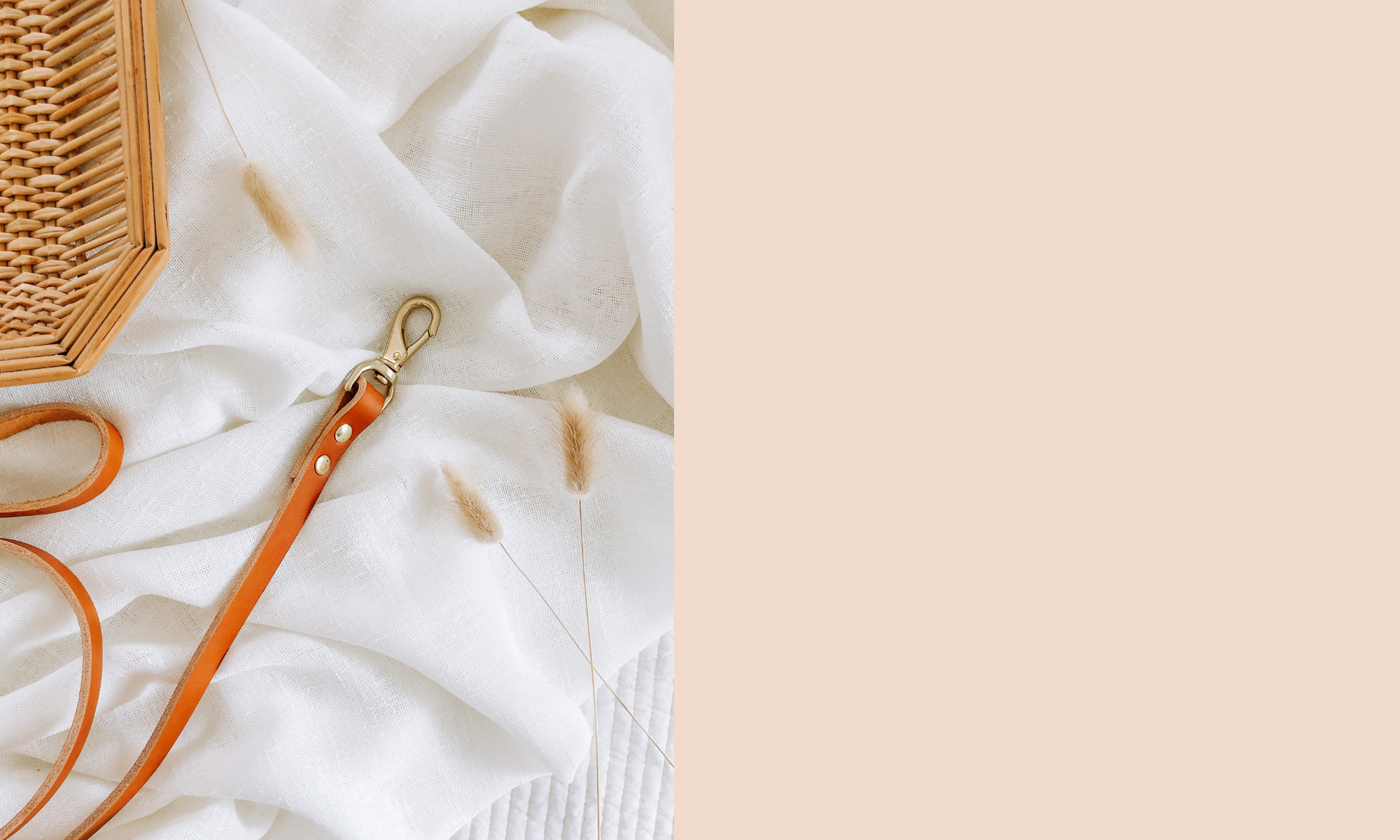 Copy of Untitled (1).png