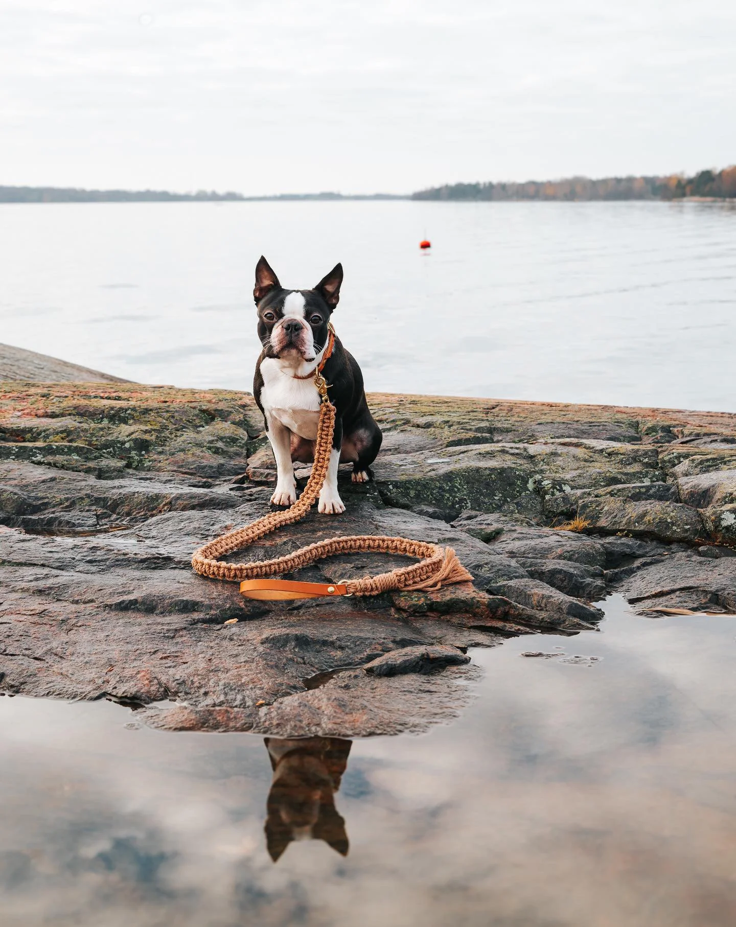 8AEF5CCB-7BDA-46A3-9228-98468BDE7F67 2.JPG