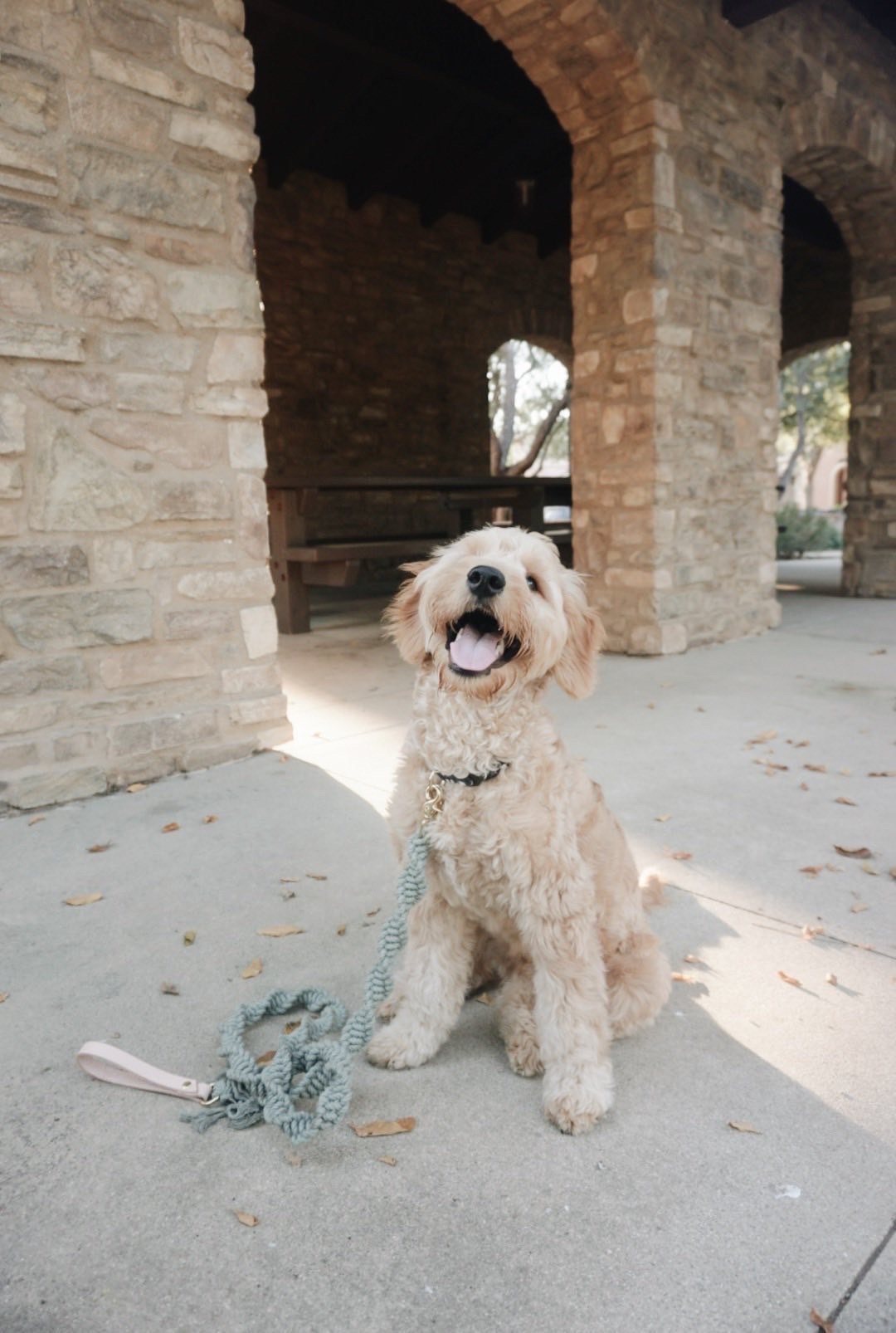 4DFA7947-A688-4F44-B23D-1D5598A4828E 2.JPG