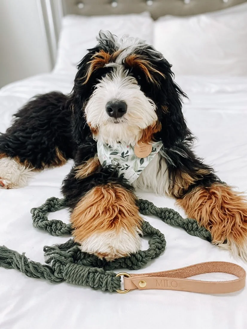 D61A543E-48D4-4B51-ADFC-11B1B164B597 2.JPG