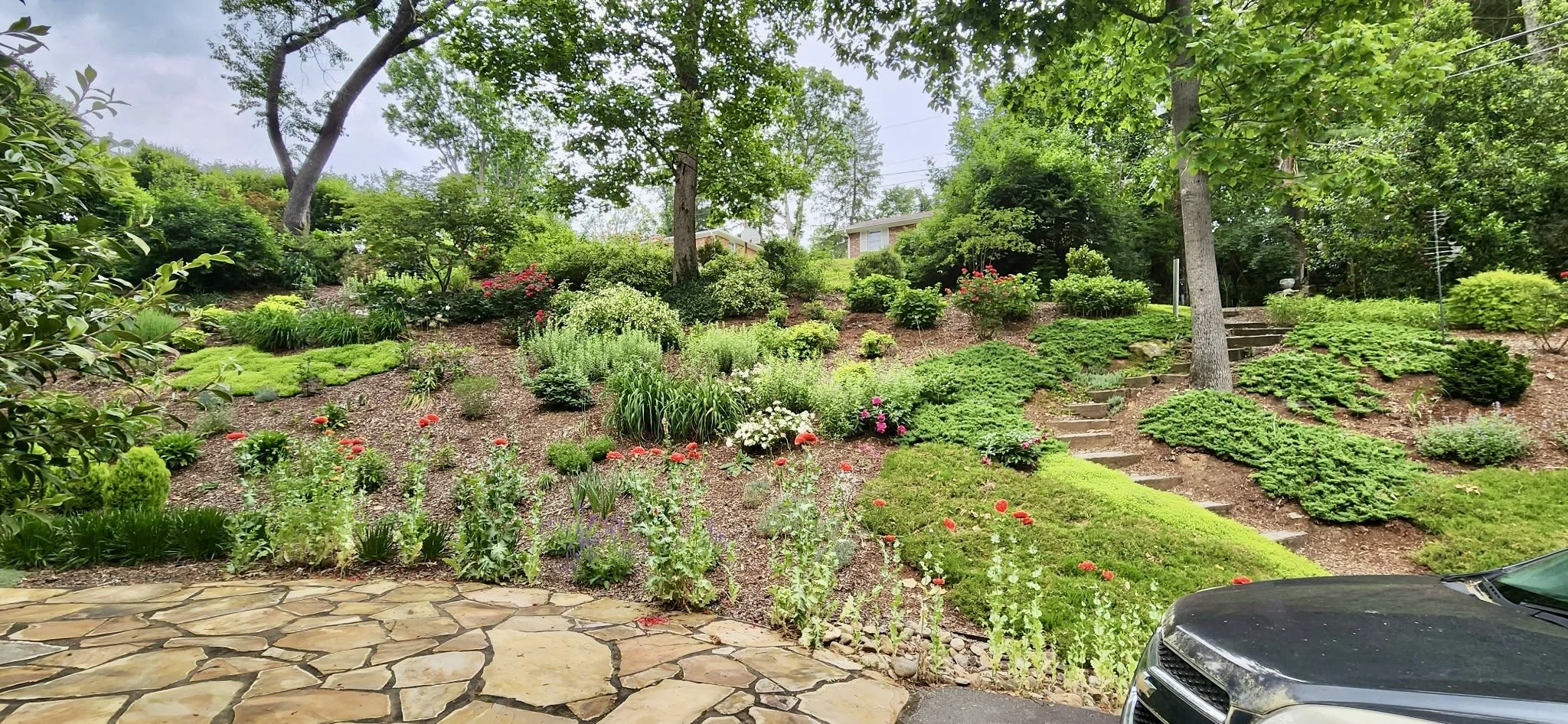 Ekstein 8 years later.jpg