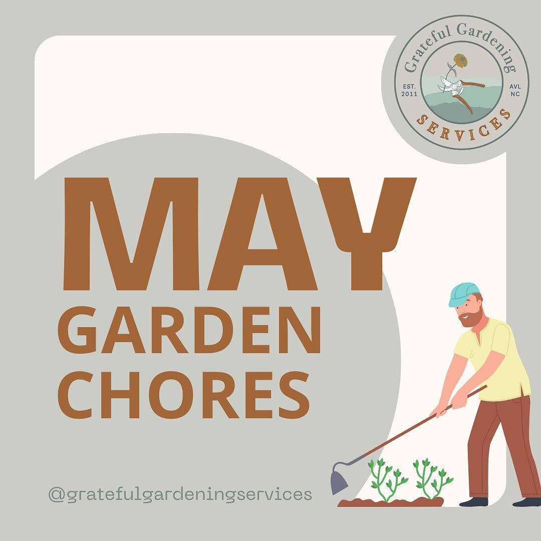 Get your hands dirty and your garden blooming with the May Garden Chores guide from Gardening in the Mountains! 🪴

Discover when to plant, weed, prune, and mulch for a healthy and thriving garden while supporting critters and soil health. Don't miss