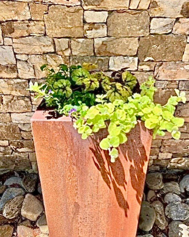 Trying to think of a gift for your momma or yourself, how about some flowers! 🌸🌼🌺

A planted container&nbsp;can liven up any space and make a grand entrance to any home or business. Bonus, it&rsquo;s so easy to make them from scratch! Have an olde