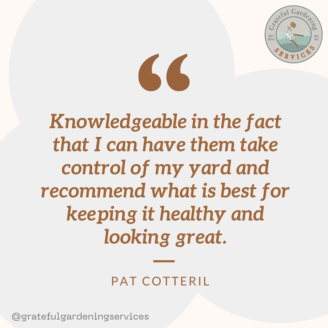 Empower your yard with expert knowledge and watch it flourish into a beautiful garden space. 🪴

Book an appointment through the link in our Bio. 🌱
.
.
.
.
#landscapedesign #gardencoach #gardenconultant #828isgreat #gardeningavl  #zone7 #ncgardening