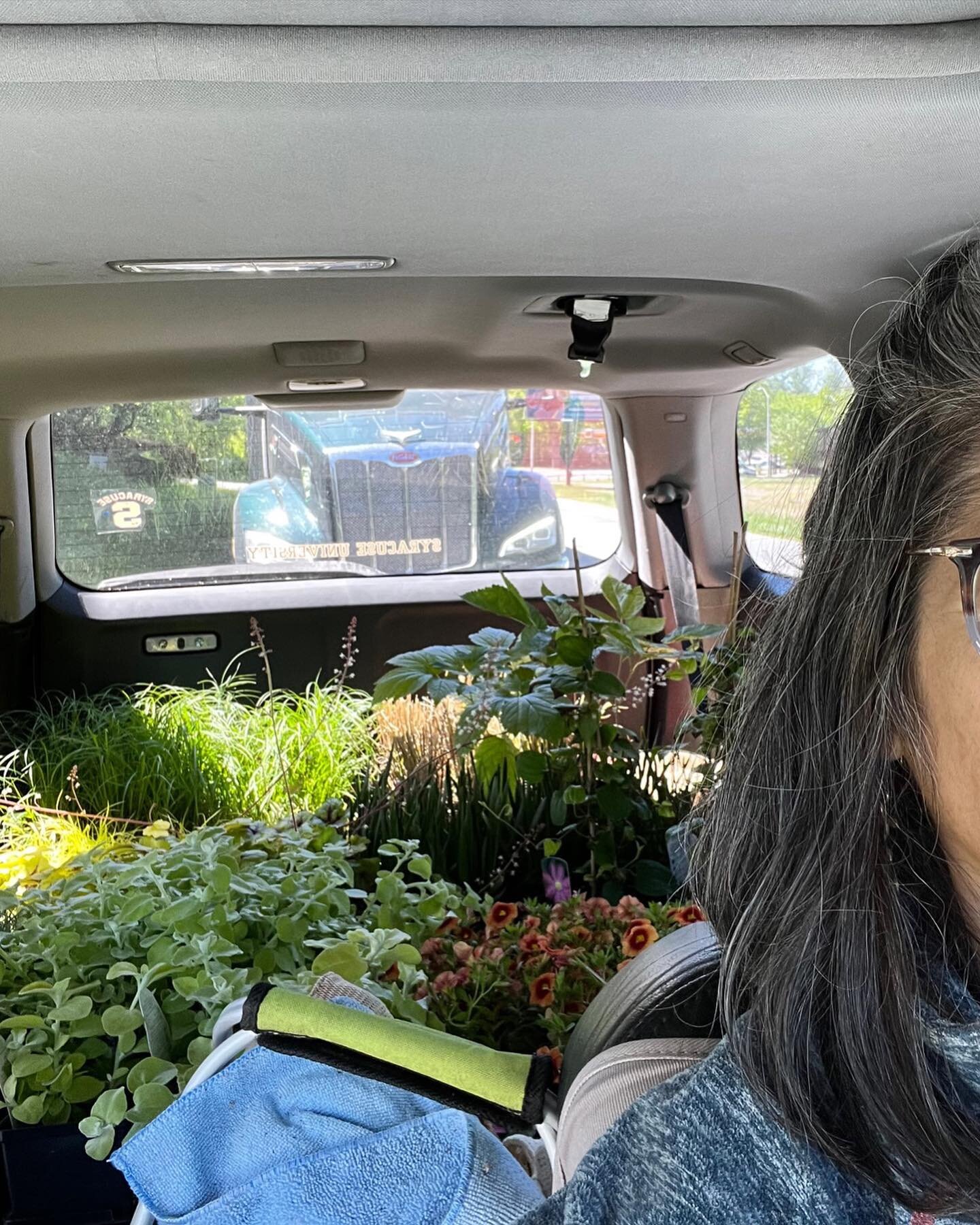 Plant shopping can be so much FUN, but it&rsquo;s important to have a plan before you set out to the garden center.&nbsp;🌱🪴

A few things to think about BEFORE you go:
&nbsp;- where are you going to plant them (full sun, shade&hellip;)
&nbsp;- do y