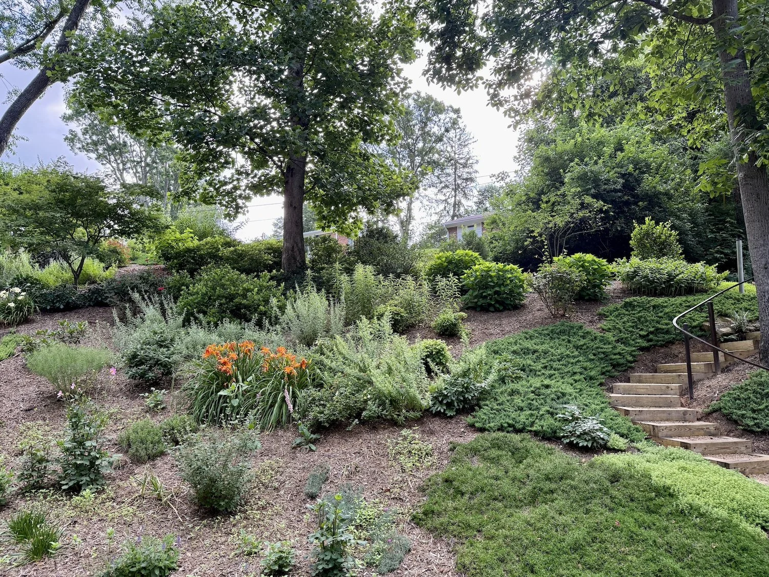 Ekstein Slope & Steps.jpg