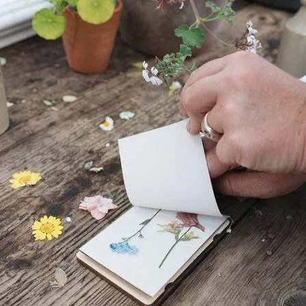 Pressed flowers.jpeg